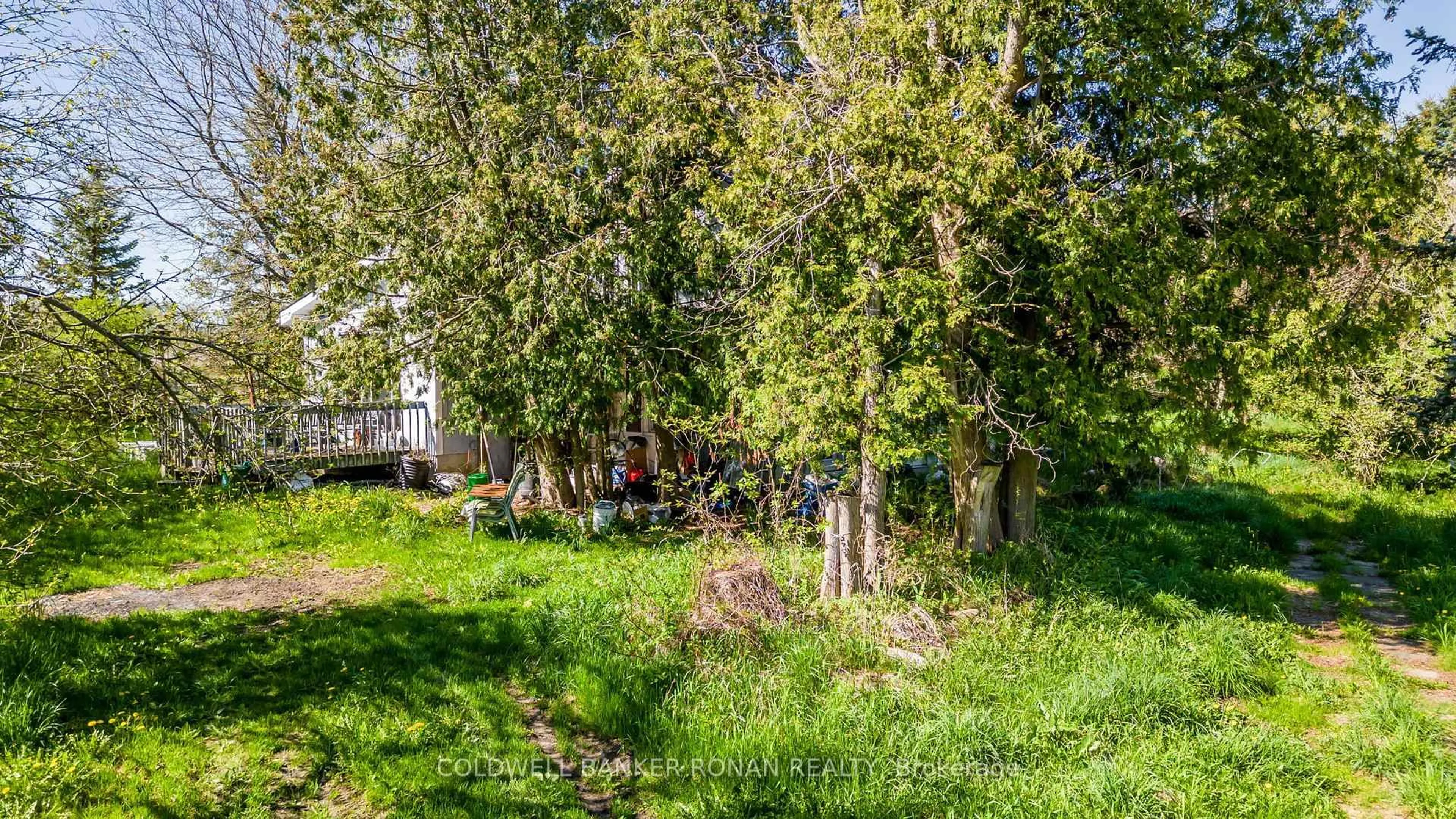 A pic from outside/outdoor area/front of a property/back of a property/a pic from drone, forest/trees view for 8689 County Rd 1, Adjala-Tosorontio Ontario L0G 1L0