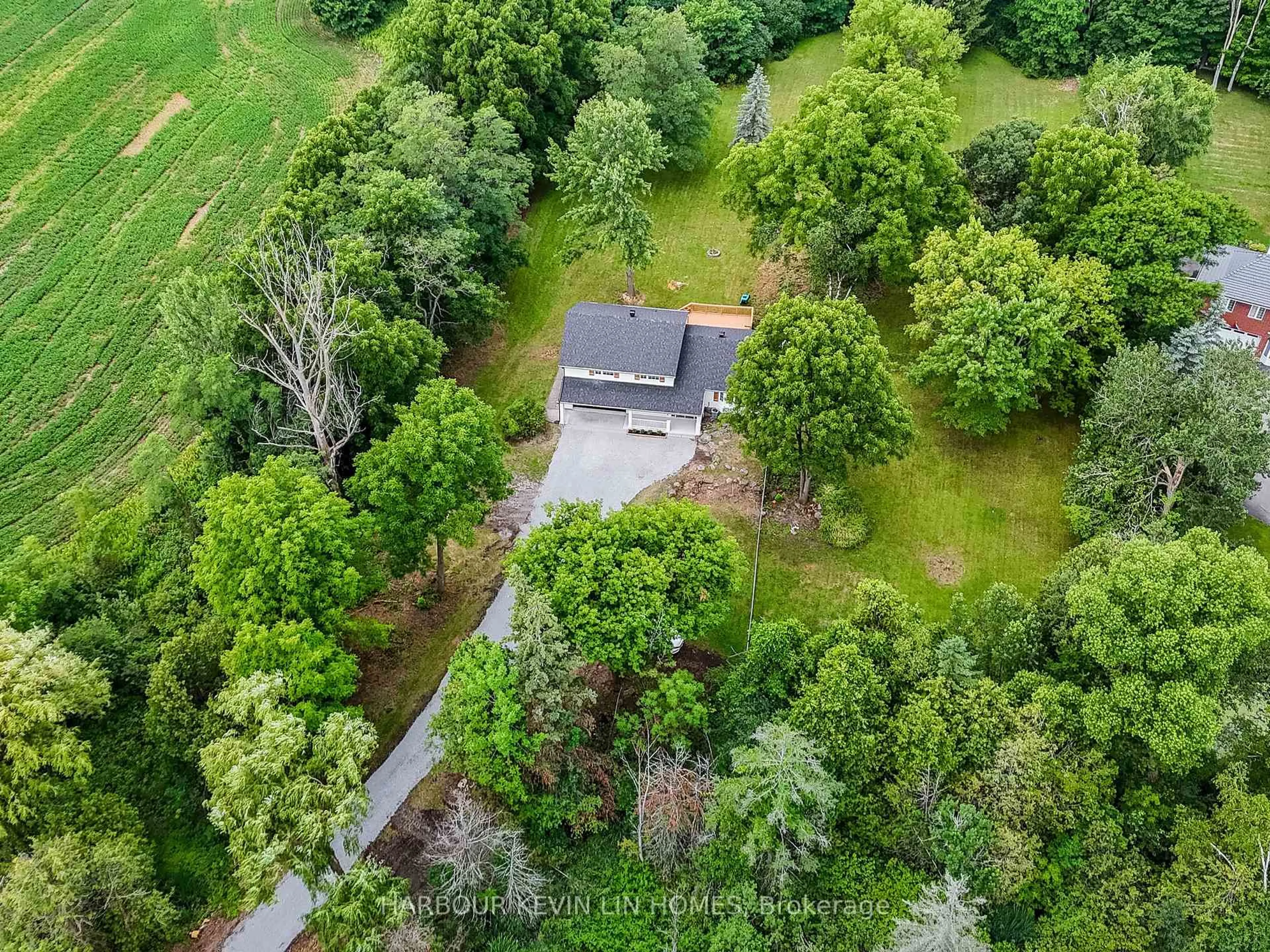 A pic from outside/outdoor area/front of a property/back of a property/a pic from drone, forest/trees view for 12056 Leslie St, Richmond Hill Ontario L4E 3R5