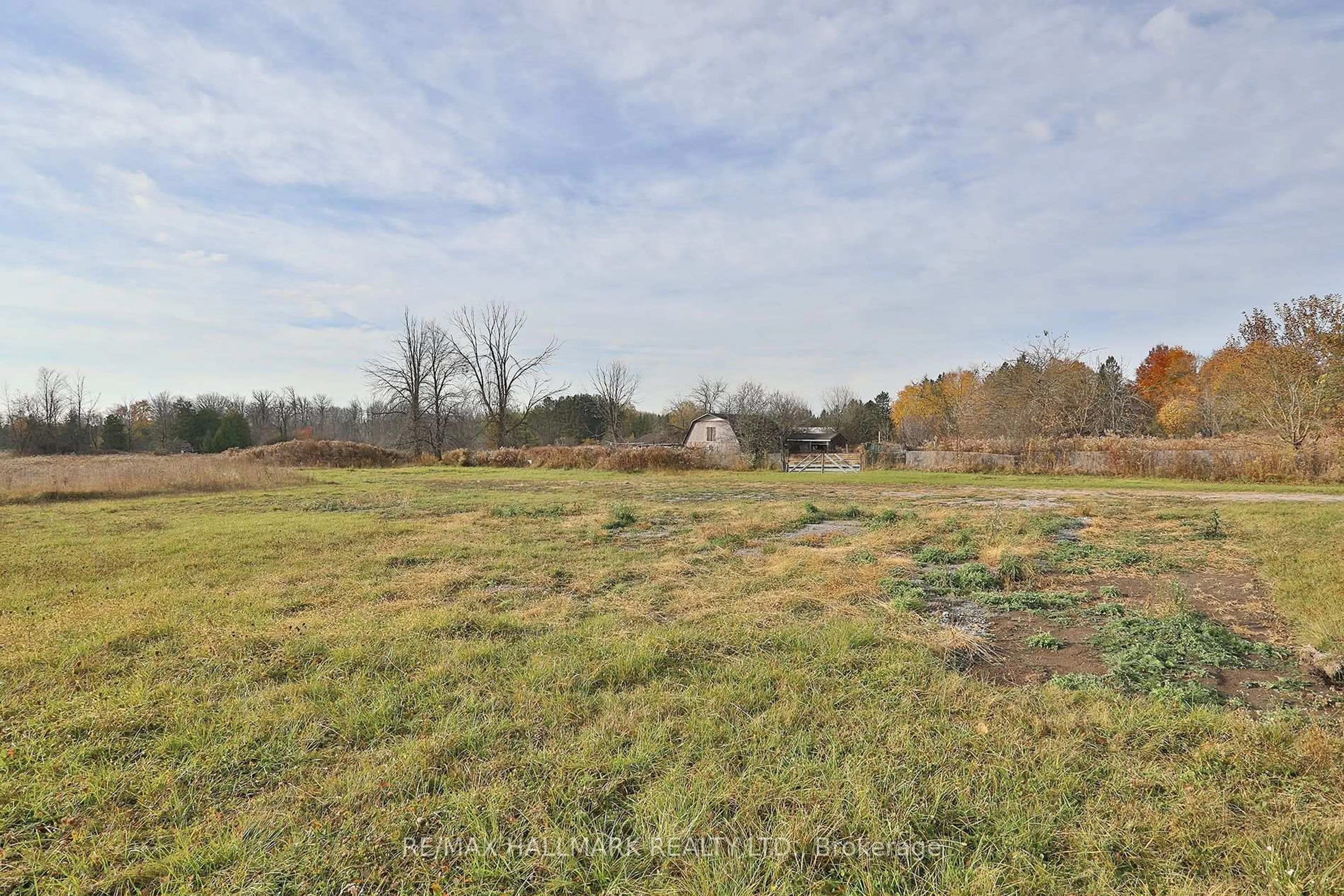 A pic from outside/outdoor area/front of a property/back of a property/a pic from drone, forest/trees view for 4805 19th Ave, Markham Ontario L6C 1M3