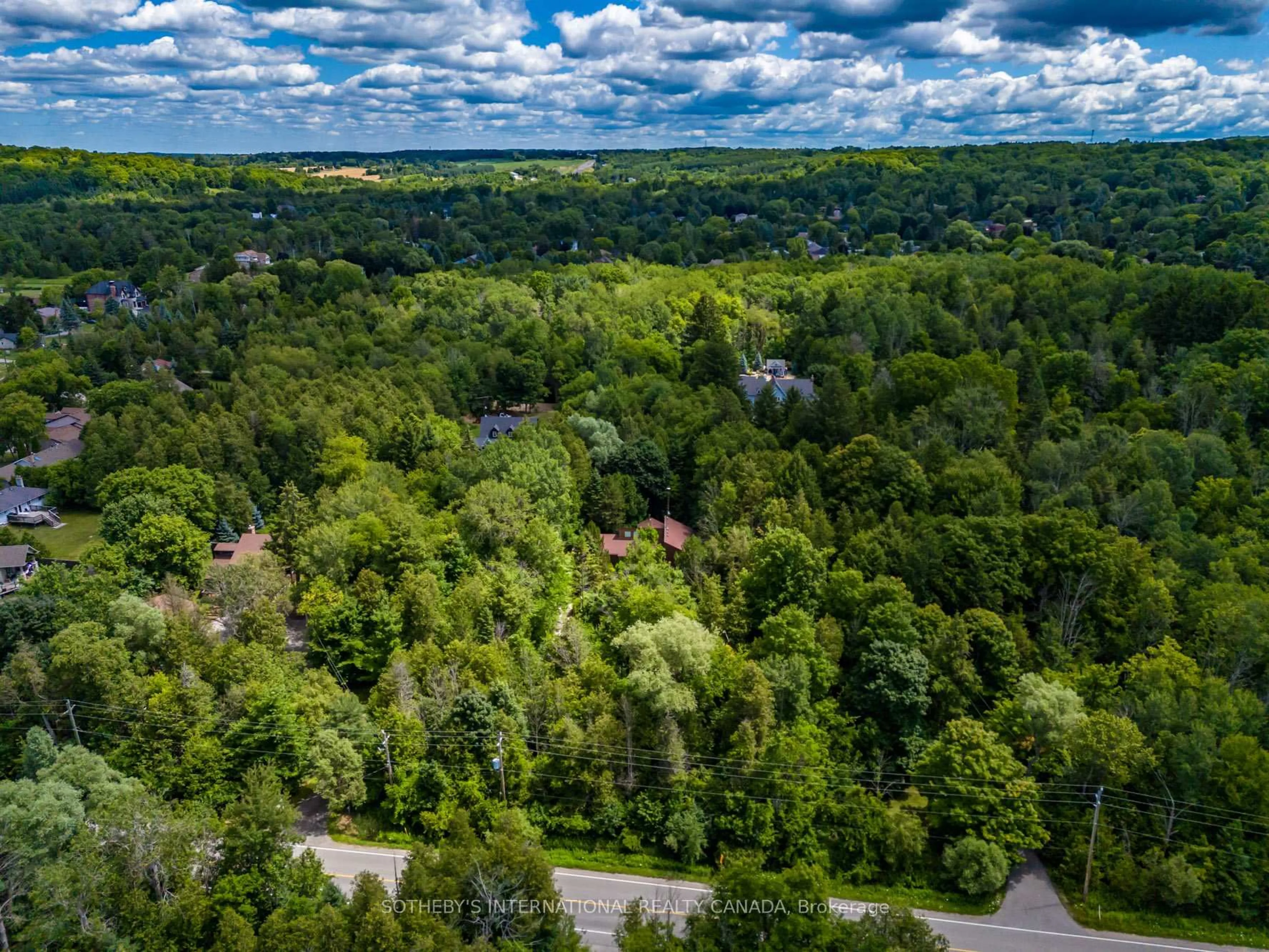 A pic from outside/outdoor area/front of a property/back of a property/a pic from drone, forest/trees view for 16235 7th Concession, King Ontario L7B 0E1