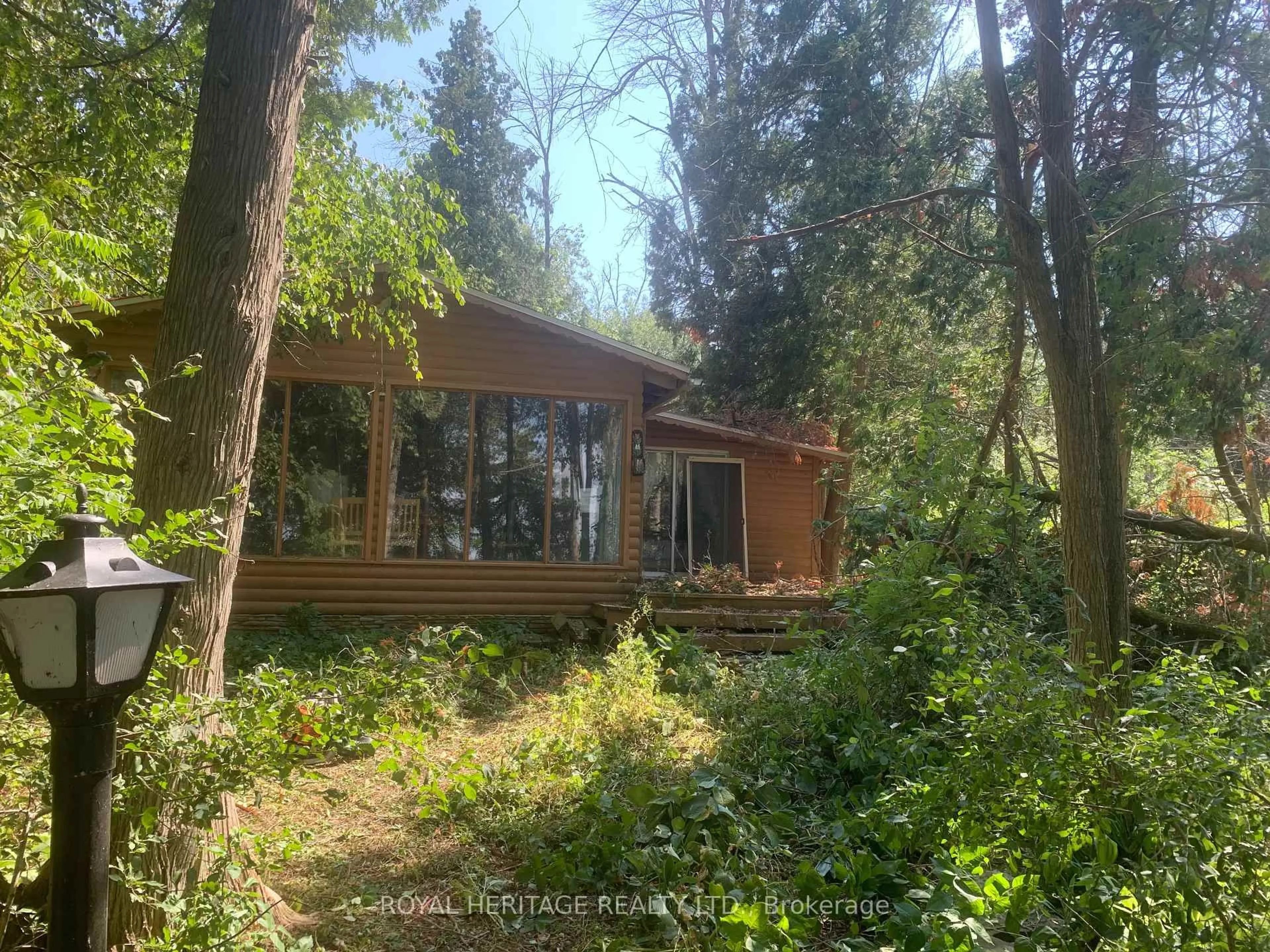 A pic from outside/outdoor area/front of a property/back of a property/a pic from drone, forest/trees view for B40426 Shore Rd, Brock Ontario L0K 1A0