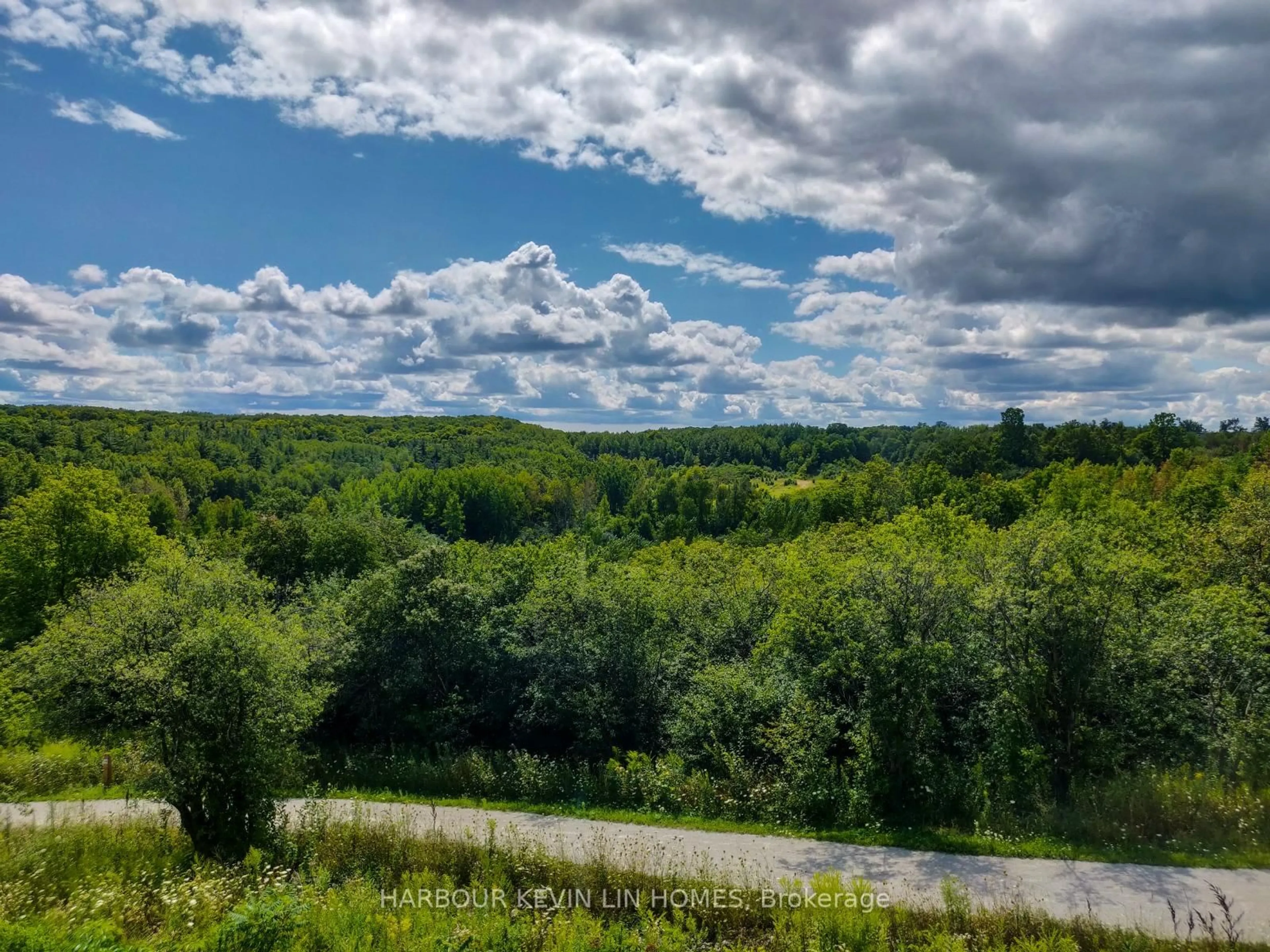 A pic from outside/outdoor area/front of a property/back of a property/a pic from drone, forest/trees view for 109 Anchusa Dr, Richmond Hill Ontario L4E 1C5
