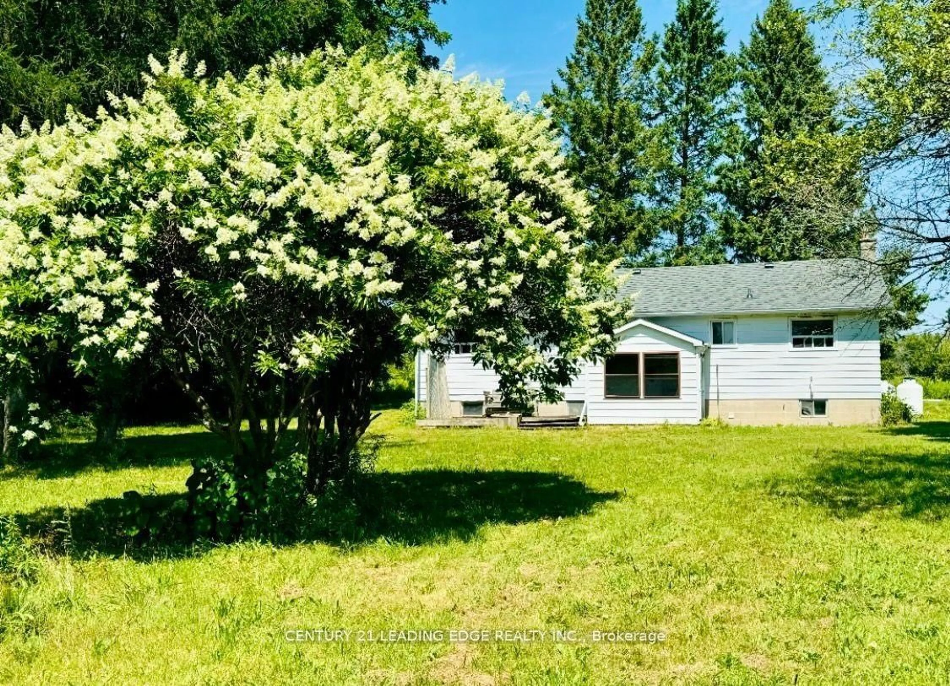 A pic from outside/outdoor area/front of a property/back of a property/a pic from drone, forest/trees view for 1860 B Thorah Concession 11, Brock Ontario L0K 1A0