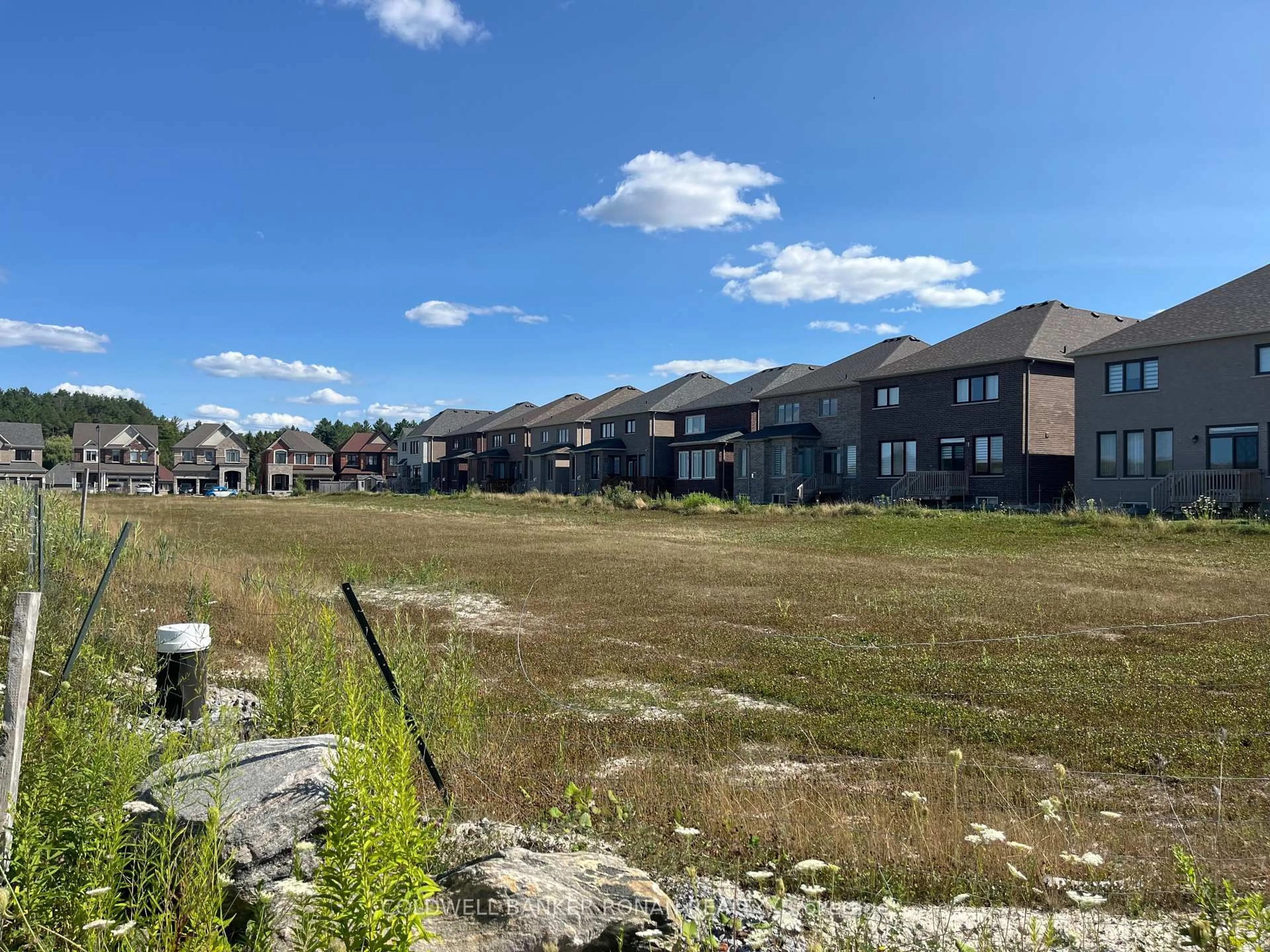 A pic from outside/outdoor area/front of a property/back of a property/a pic from drone, unknown for Part 2 Meadow Vista Cres, East Gwillimbury Ontario L9N 0T4