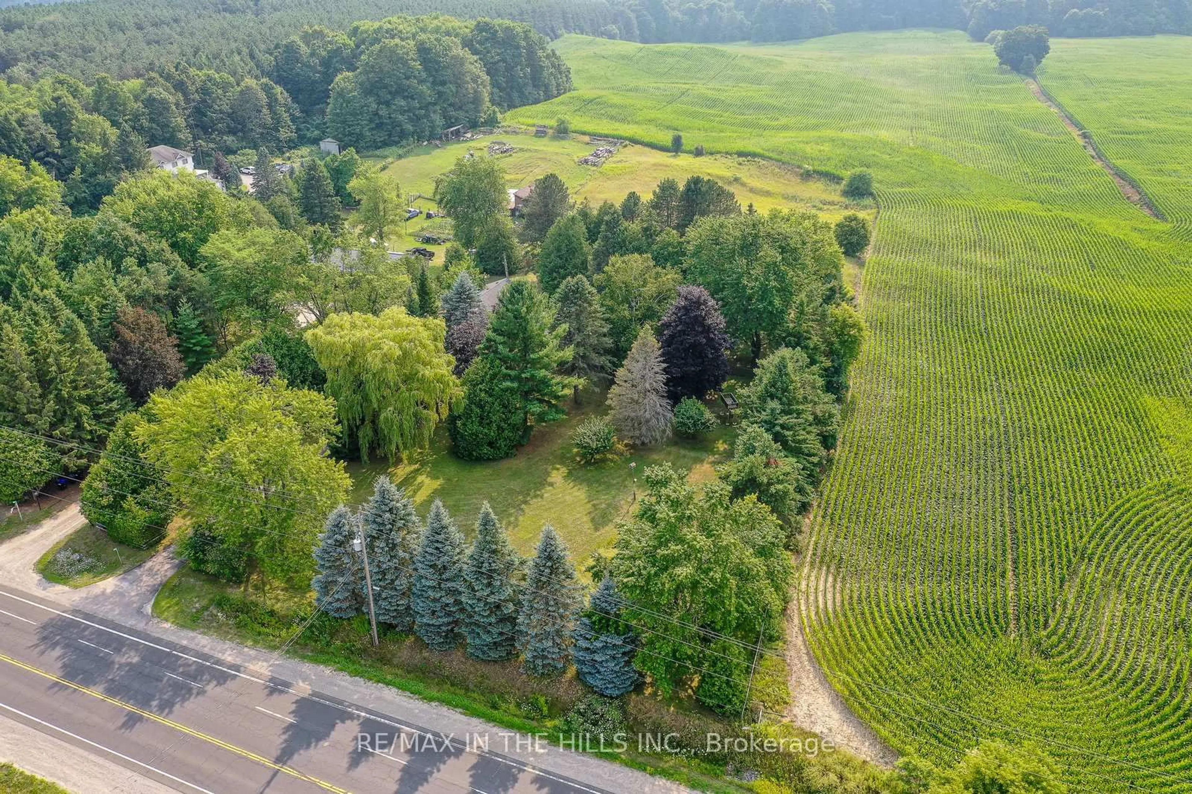 A pic from outside/outdoor area/front of a property/back of a property/a pic from drone, forest/trees view for 1290 County Rd 50 Rd, Adjala-Tosorontio Ontario L0N 1P0