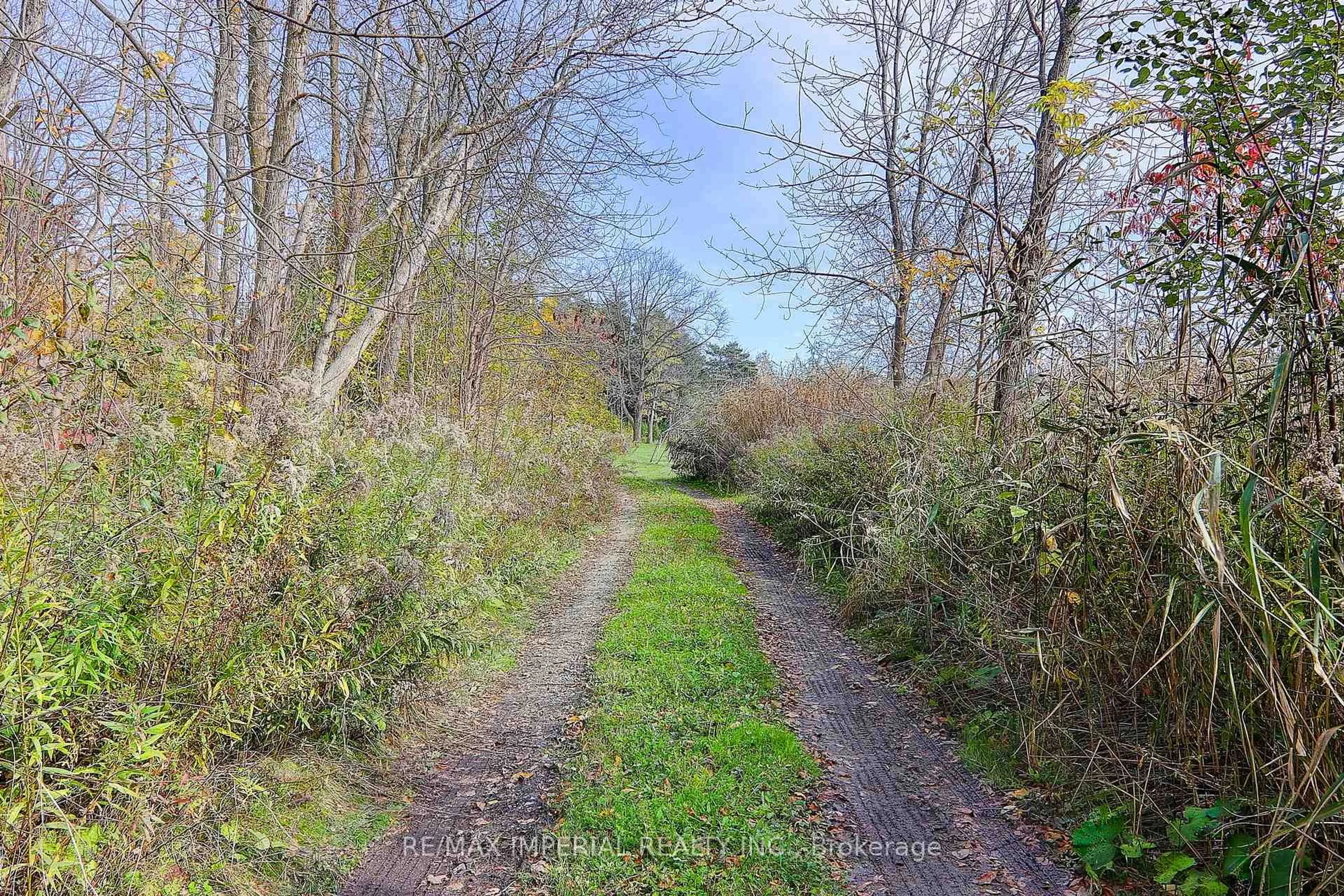 A pic from outside/outdoor area/front of a property/back of a property/a pic from drone, forest/trees view for 13231 Kennedy Rd, Whitchurch-Stouffville Ontario L4A 7X5
