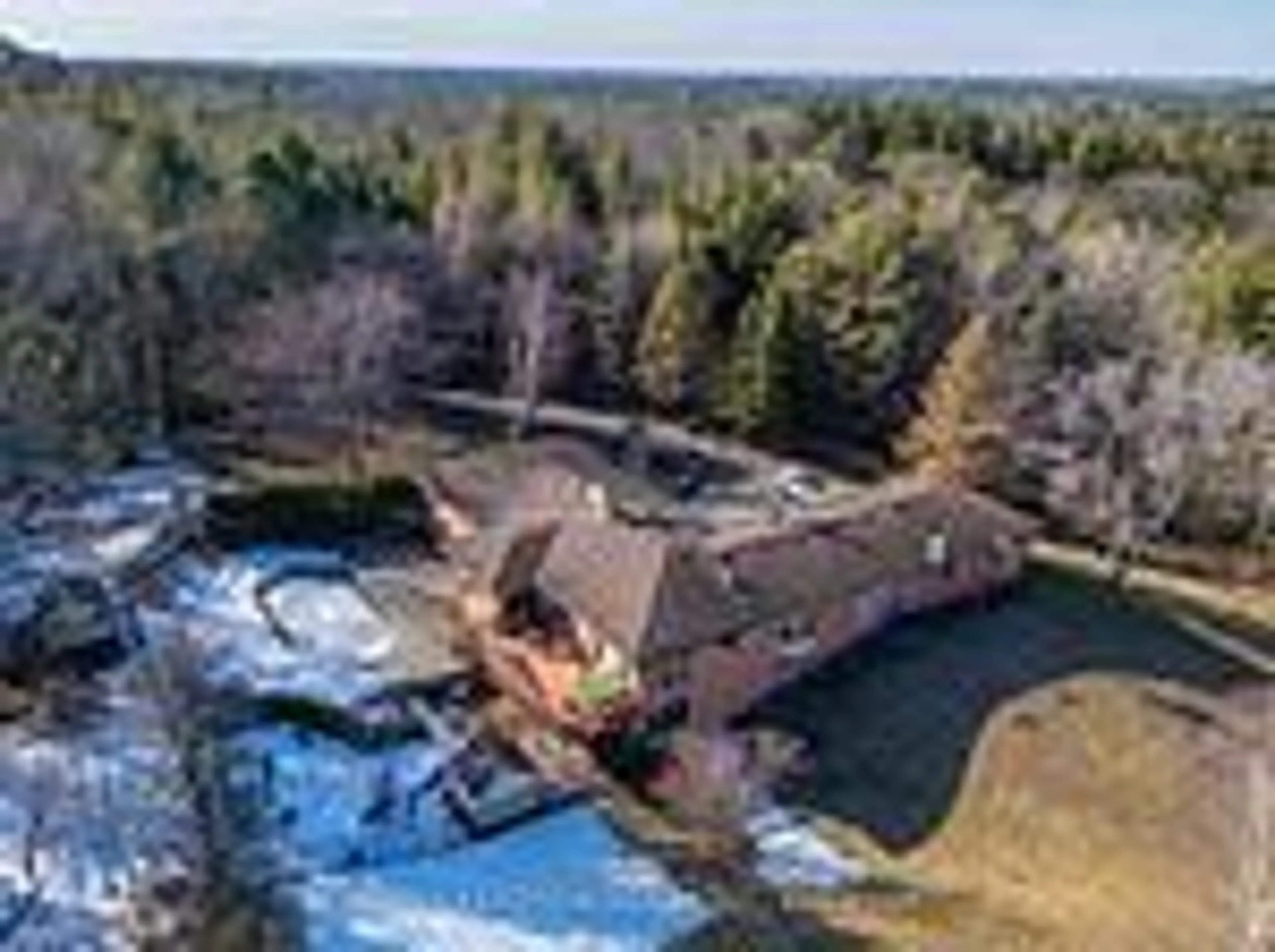 A pic from outside/outdoor area/front of a property/back of a property/a pic from drone, water/lake/river/ocean view for 16271 Highway 48, Whitchurch-Stouffville Ontario L4A 7X4