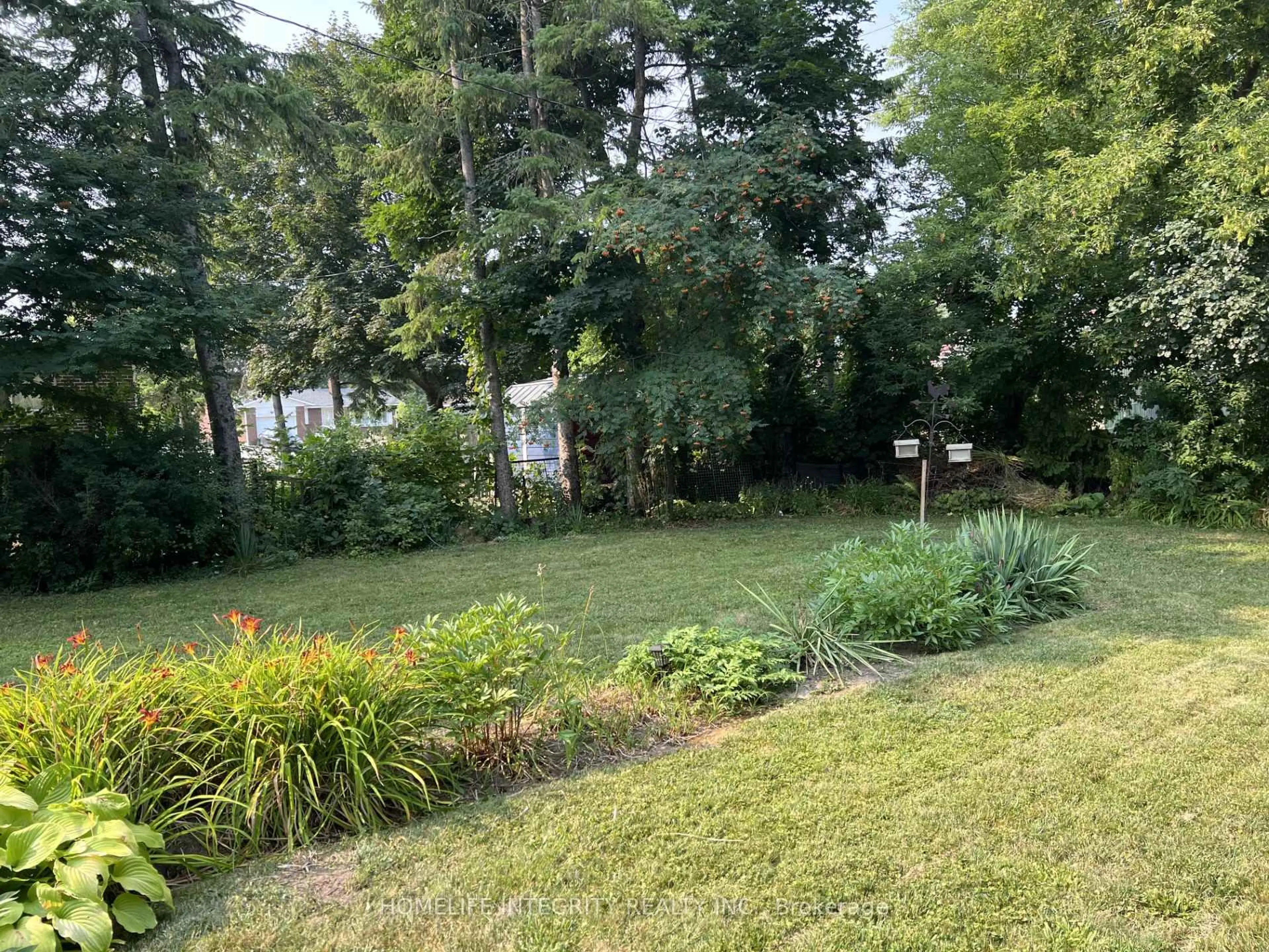 A pic from outside/outdoor area/front of a property/back of a property/a pic from drone, forest/trees view for 76 William St, New Tecumseth Ontario L9R 1N1