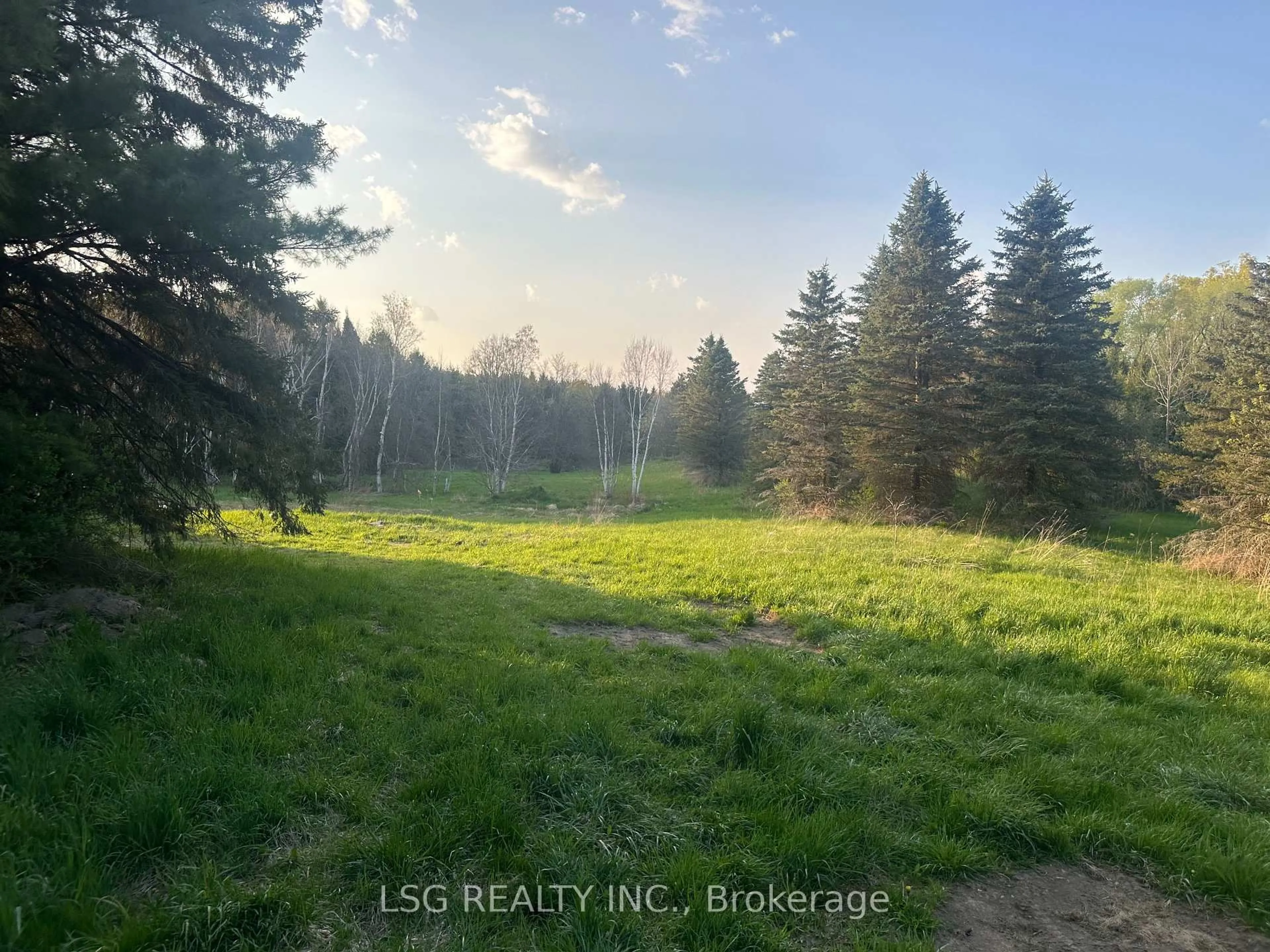 A pic from outside/outdoor area/front of a property/back of a property/a pic from drone, forest/trees view for 6180 18th Sdrd, King Ontario L0G 1T0