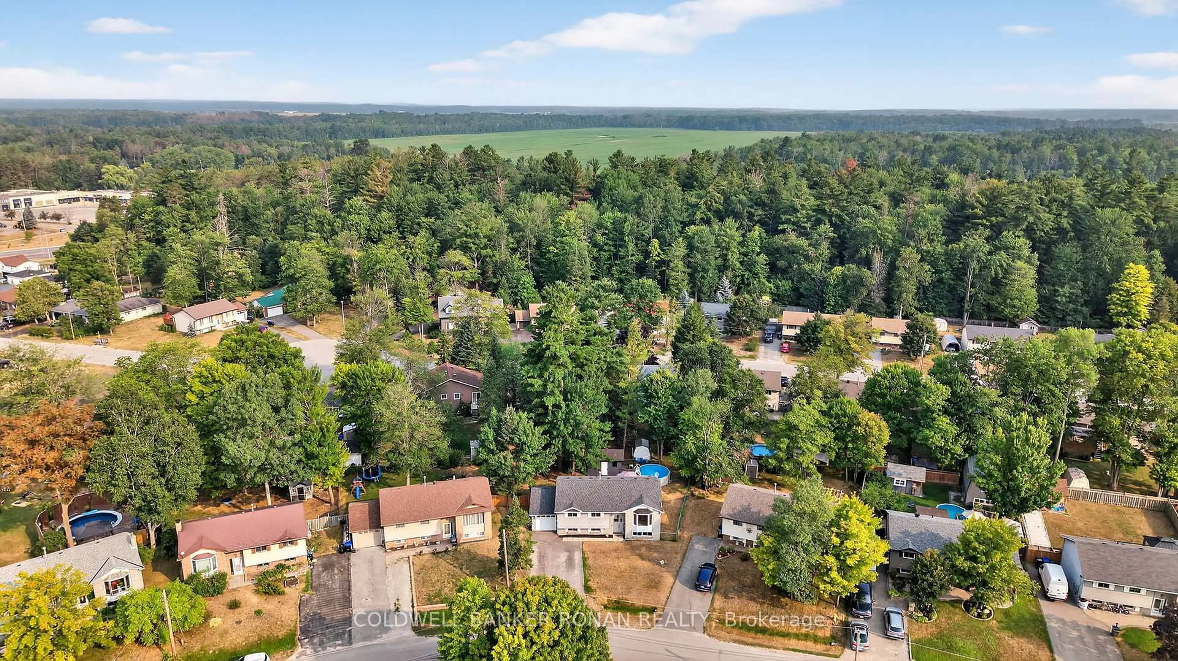 A pic from outside/outdoor area/front of a property/back of a property/a pic from drone, forest/trees view for 13 Pridham Cres, Essa Ontario L3W 0G5