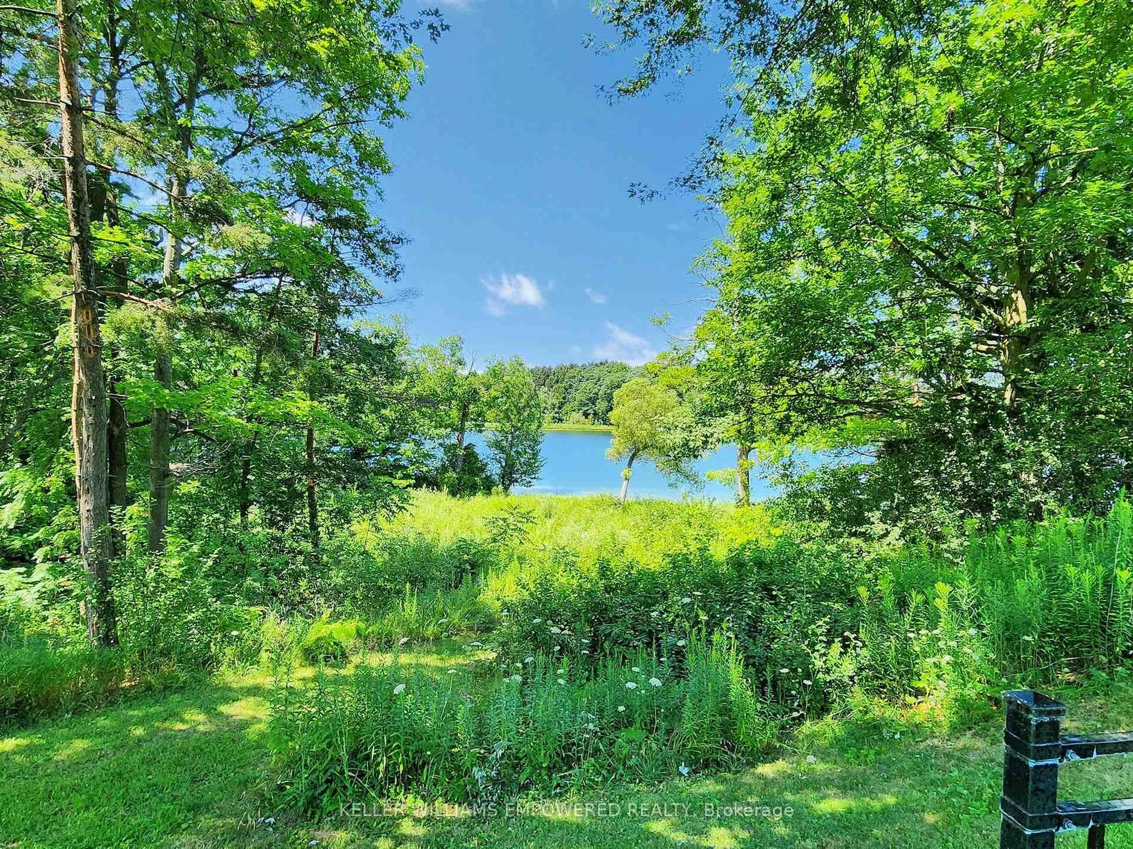 A pic from outside/outdoor area/front of a property/back of a property/a pic from drone, water/lake/river/ocean view for 12 Macleod Estate Crt, Richmond Hill Ontario L4E 0B1