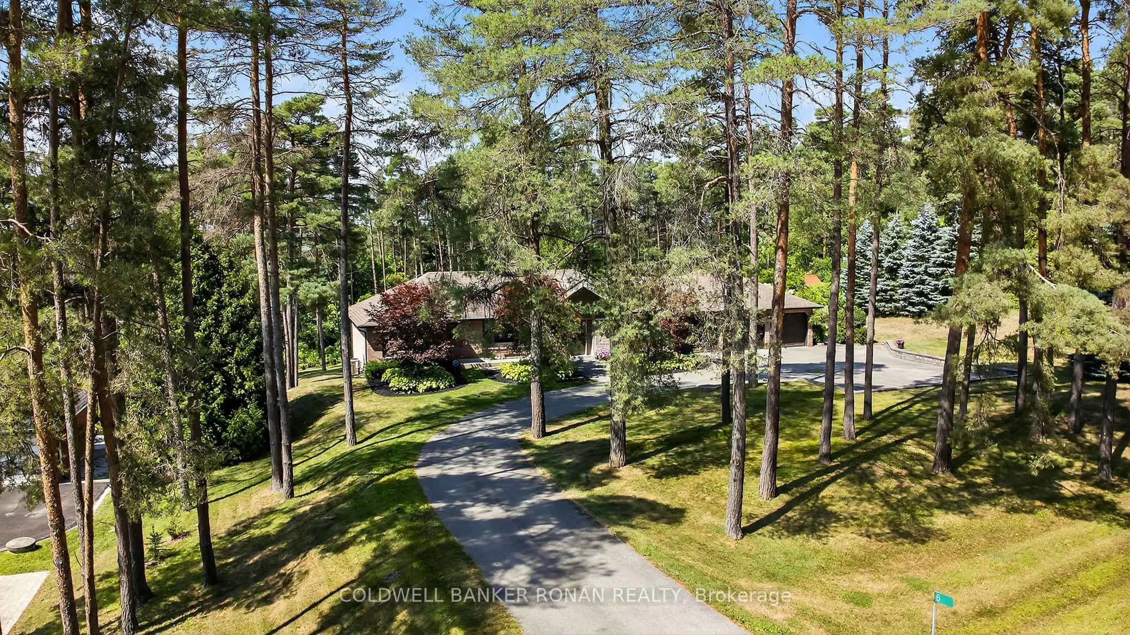 A pic from outside/outdoor area/front of a property/back of a property/a pic from drone, forest/trees view for 6 Pyne Hills Crt, New Tecumseth Ontario L0G 1W0