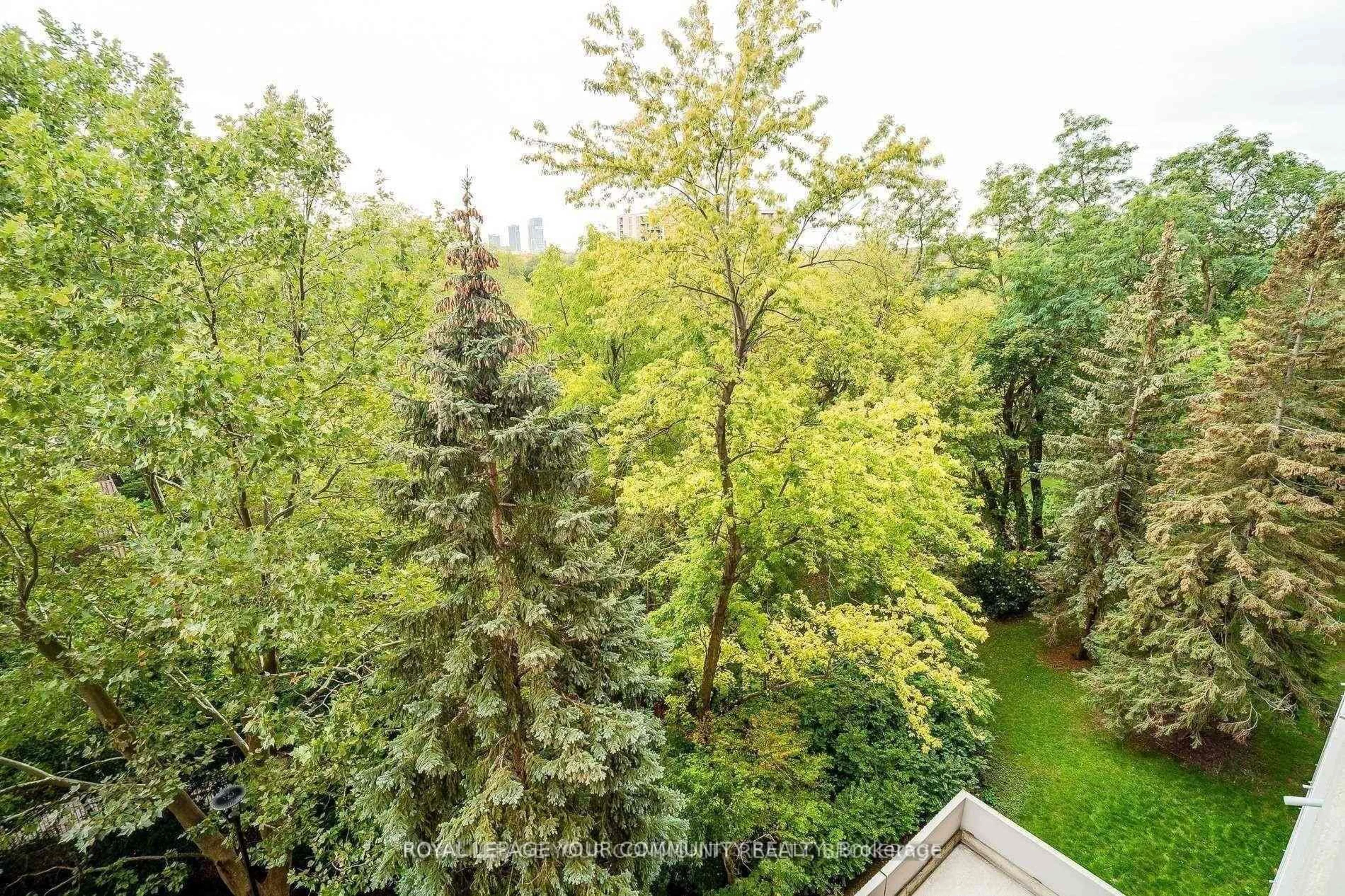 A pic from outside/outdoor area/front of a property/back of a property/a pic from drone, forest/trees view for 50 Inverlochy Blvd #1004, Markham Ontario L3T 4T6