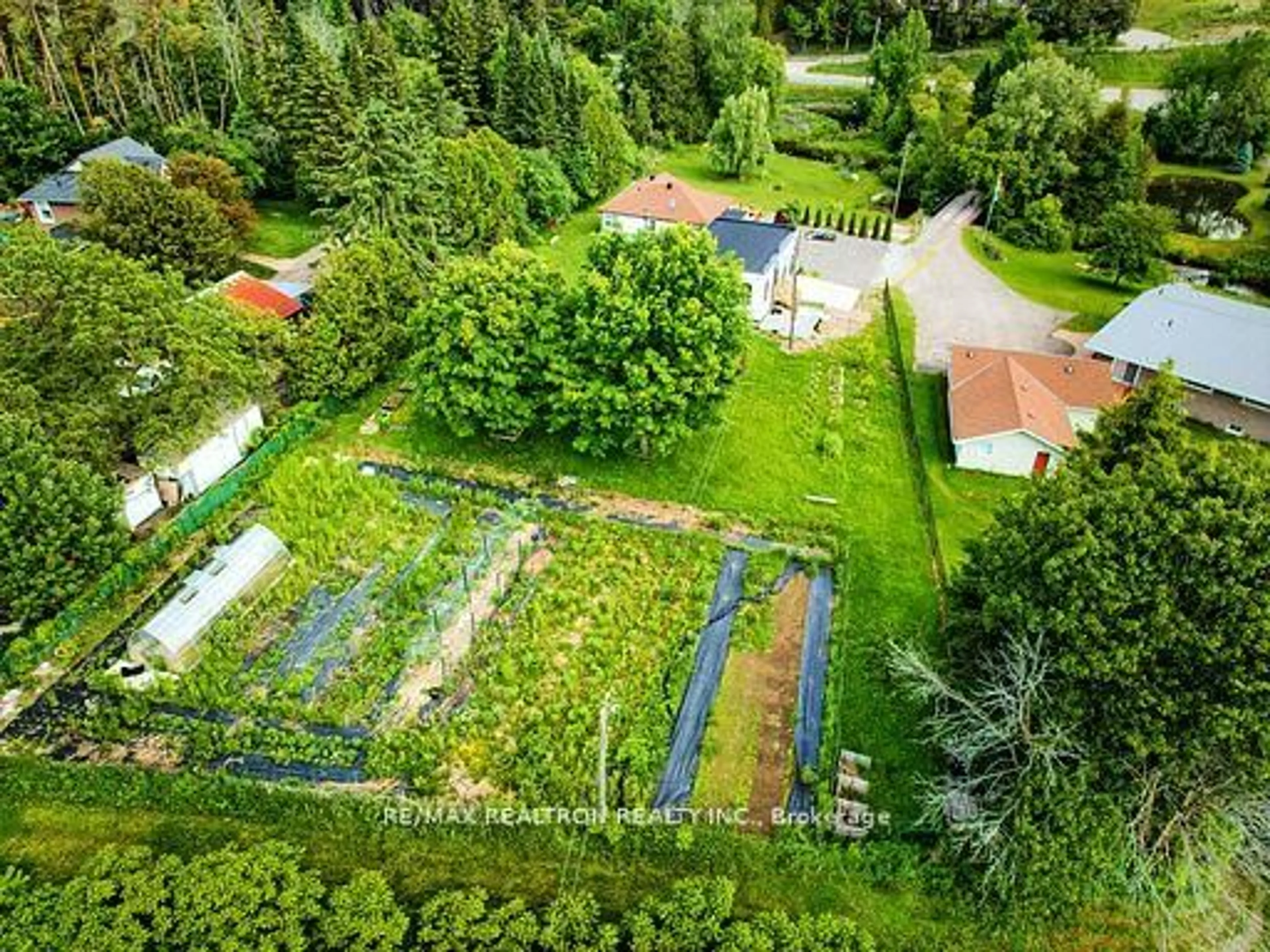 A pic from outside/outdoor area/front of a property/back of a property/a pic from drone, forest/trees view for 2821 Mount Albert Rd, East Gwillimbury Ontario L0G 1R0
