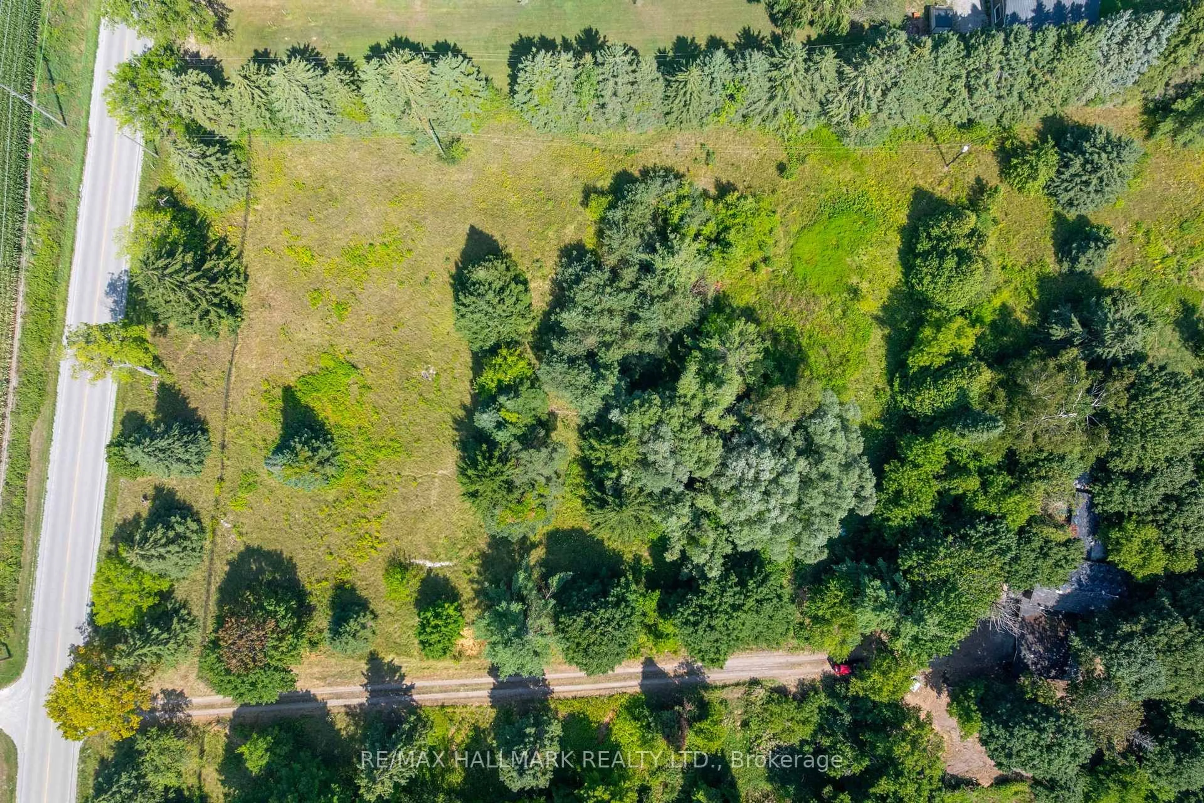A pic from outside/outdoor area/front of a property/back of a property/a pic from drone, forest/trees view for 23895 Mccowan Rd, Georgina Ontario L0E 1R0