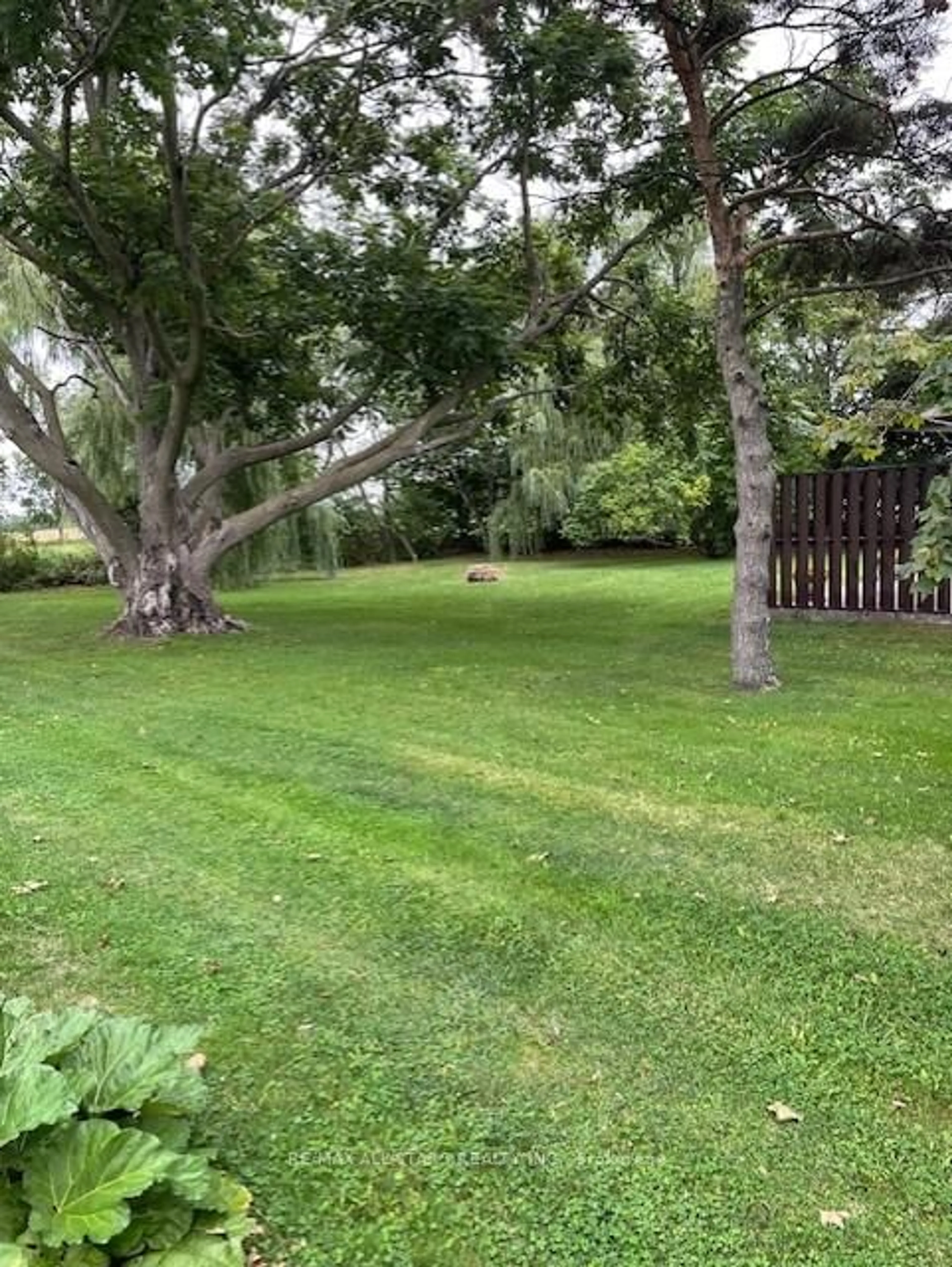 A pic from outside/outdoor area/front of a property/back of a property/a pic from drone, forest/trees view for 14041 Highway 48, Whitchurch-Stouffville Ontario L4A 7X3