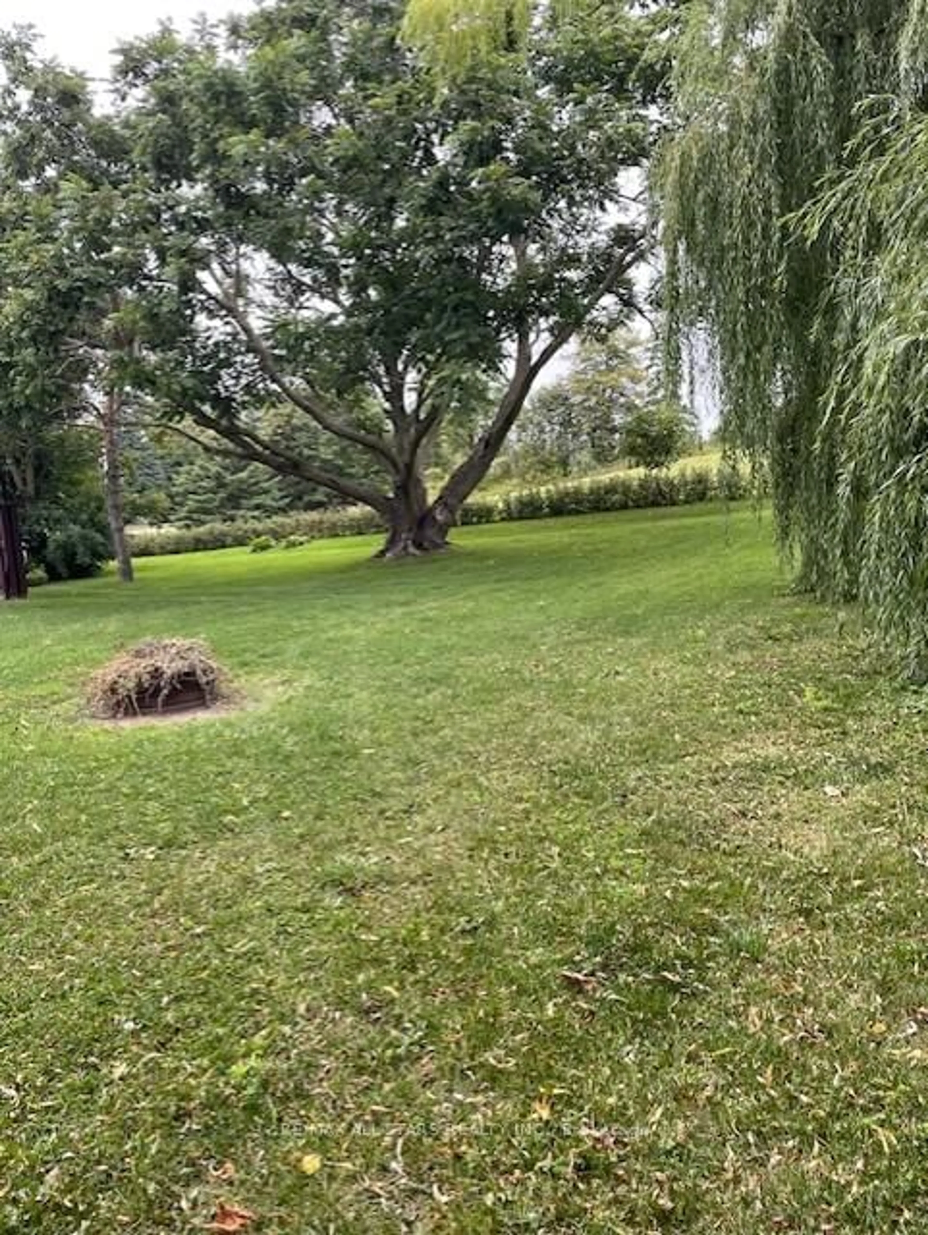 A pic from outside/outdoor area/front of a property/back of a property/a pic from drone, forest/trees view for 14041 Highway 48, Whitchurch-Stouffville Ontario L4A 7X3
