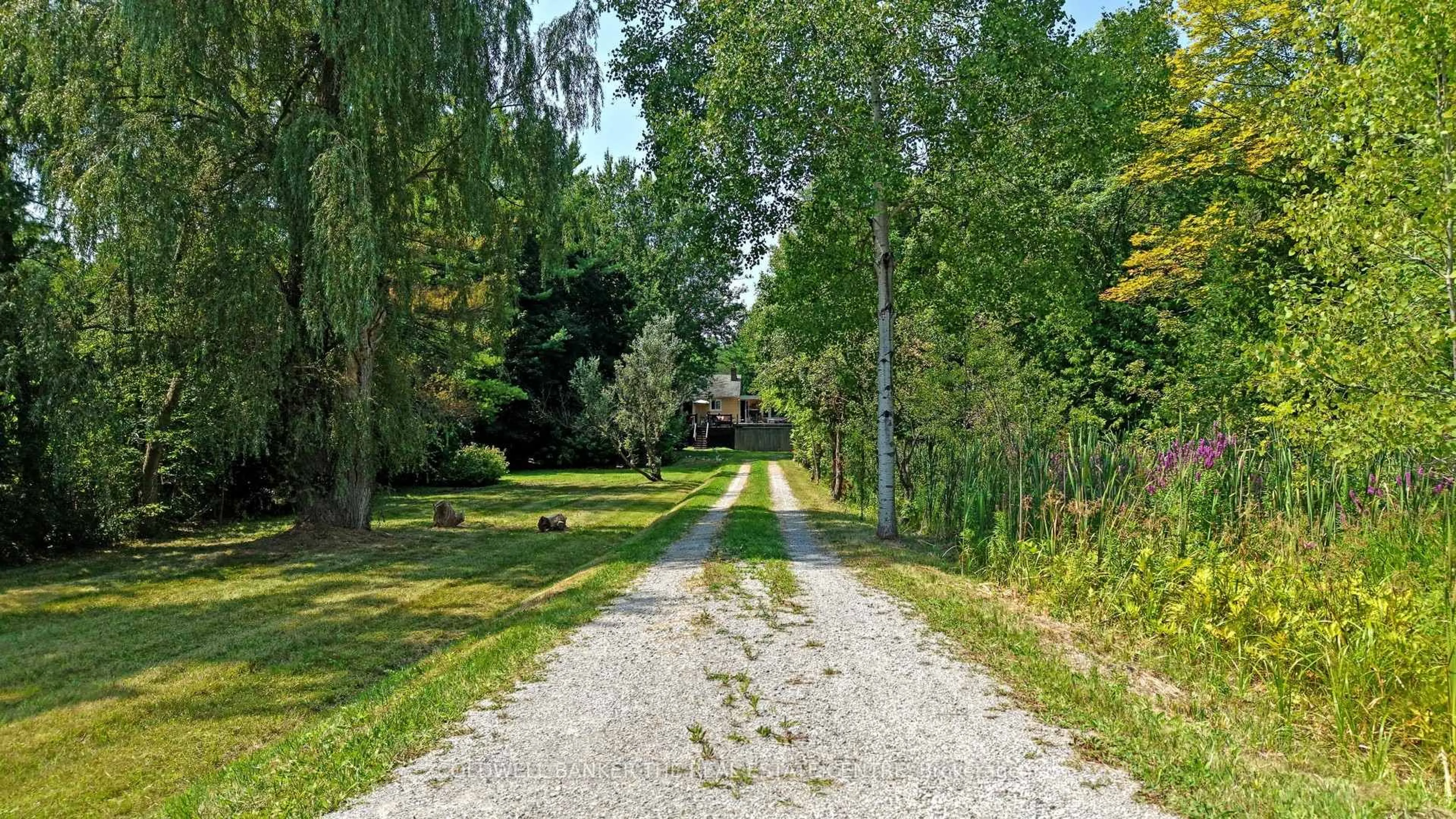 A pic from outside/outdoor area/front of a property/back of a property/a pic from drone, street for 15600 Weston Rd, King Ontario L7B 0L1