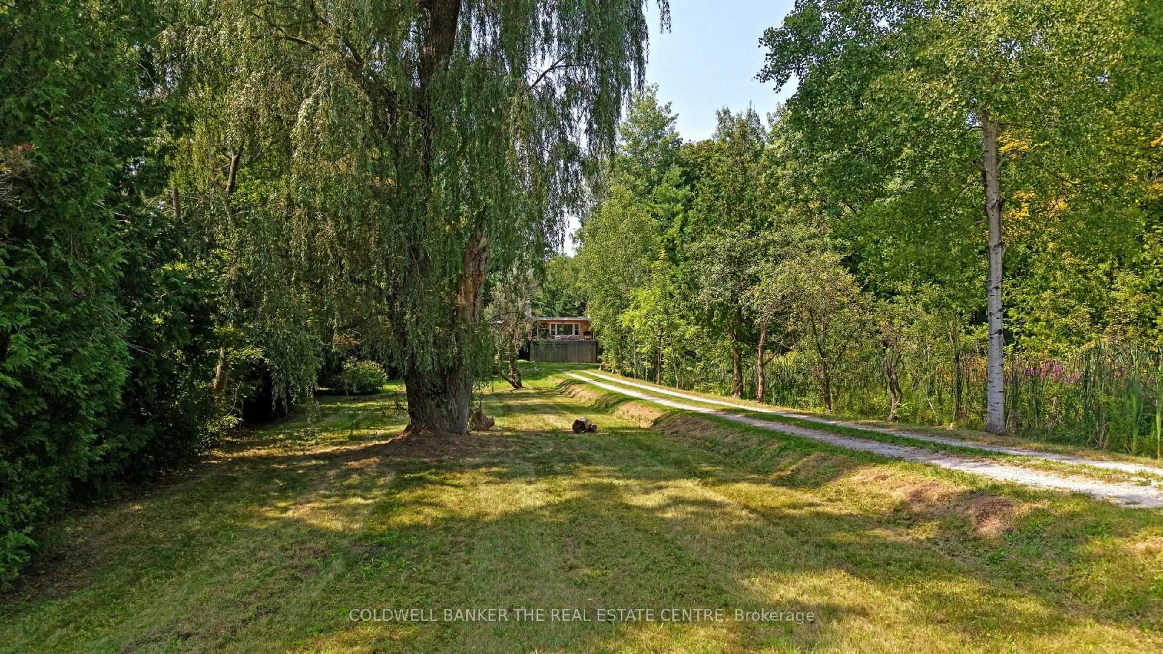 A pic from outside/outdoor area/front of a property/back of a property/a pic from drone, forest/trees view for 15600 Weston Rd, King Ontario L7B 0L1