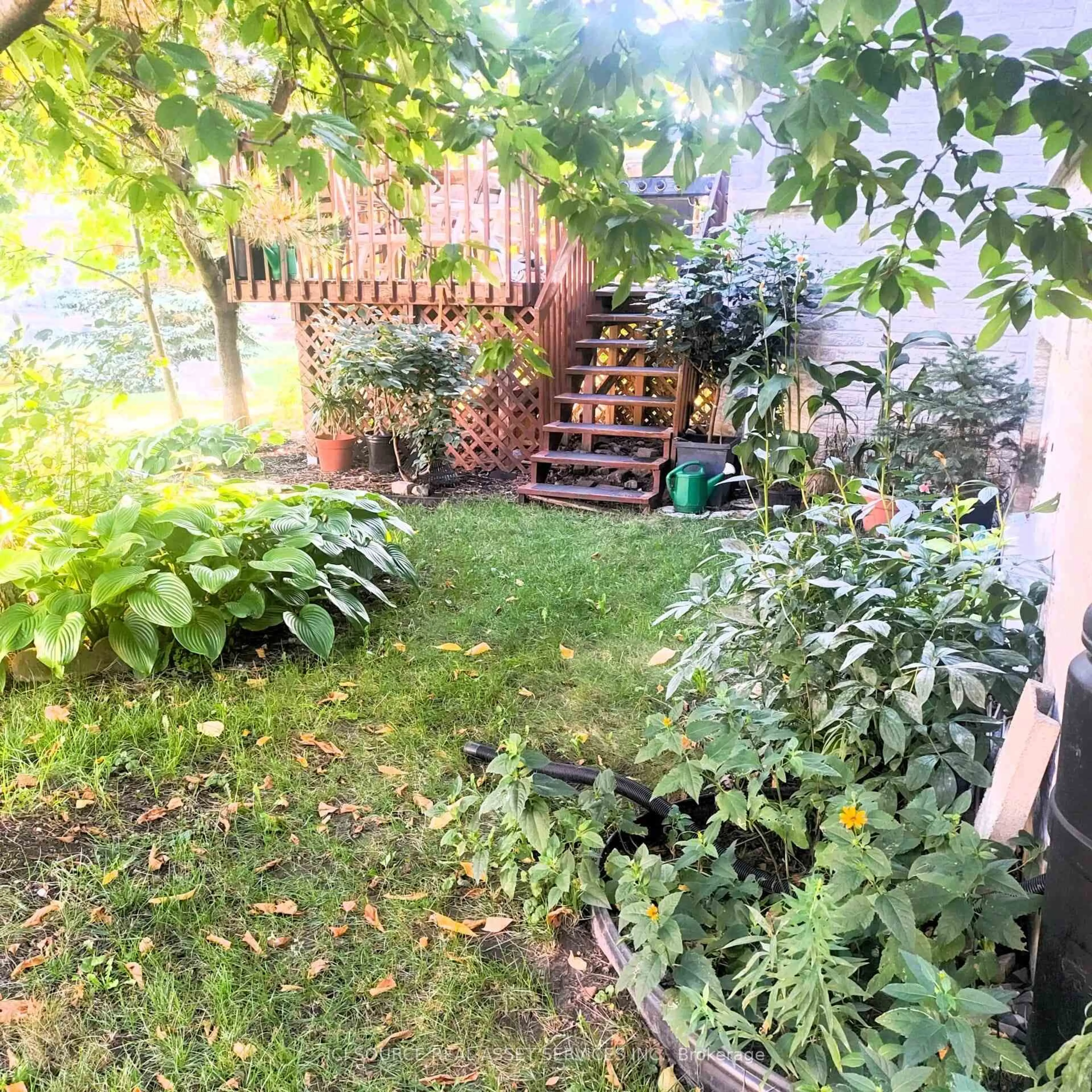 Patio, street for 48 Brimwood Cres, Richmond Hill Ontario L4B 4B6