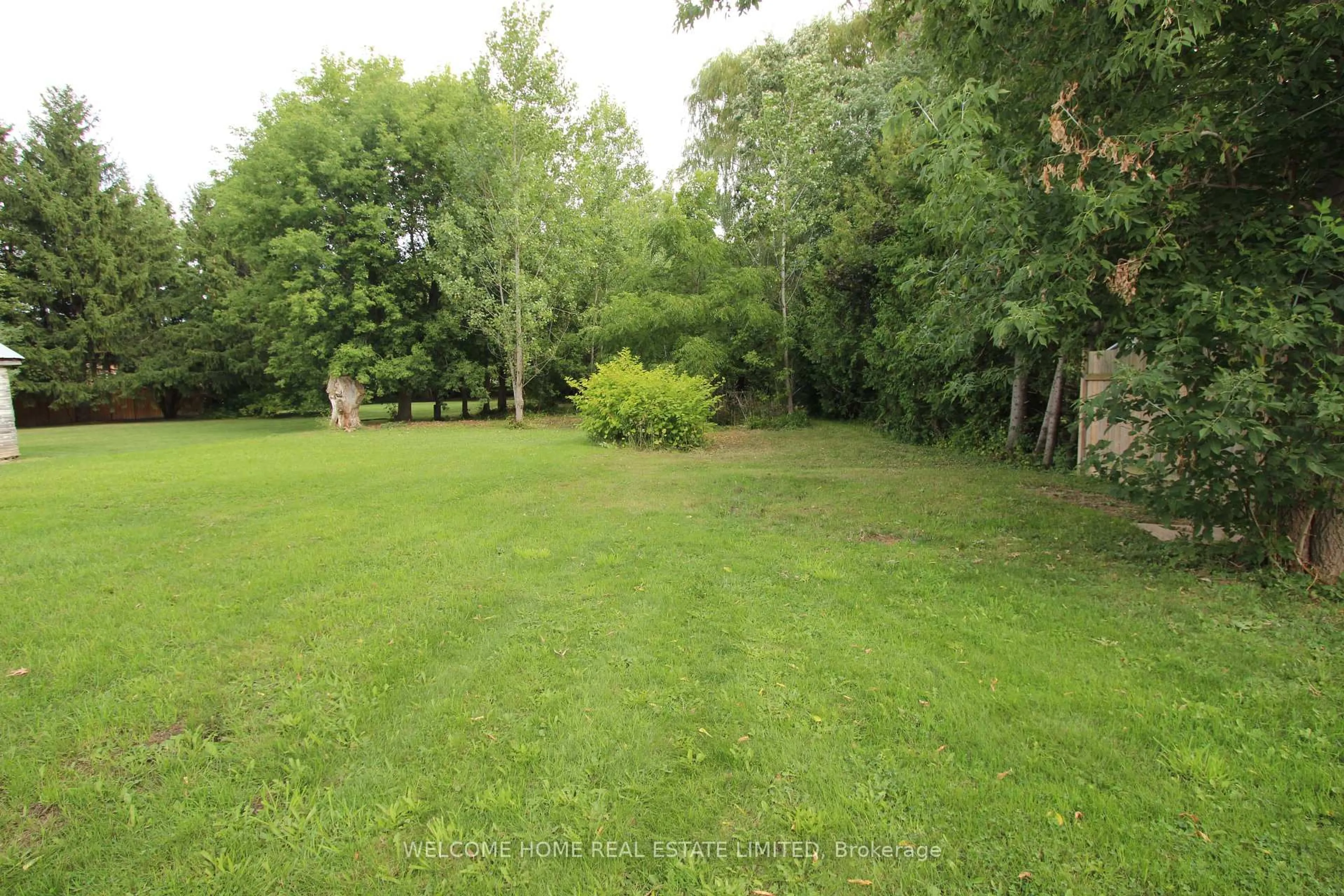 A pic from outside/outdoor area/front of a property/back of a property/a pic from drone, forest/trees view for 145 King St, New Tecumseth Ontario L9R 1N7
