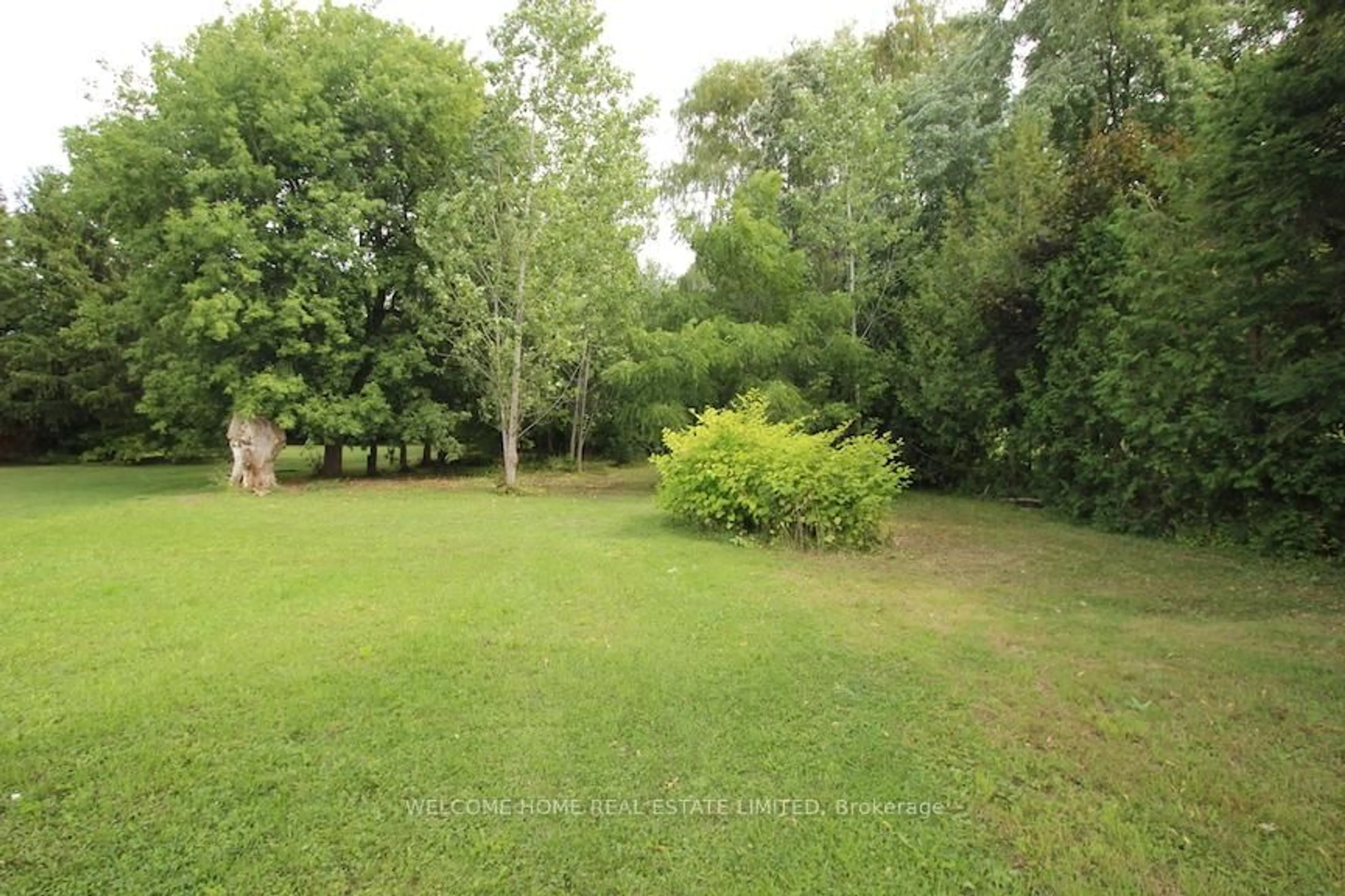 A pic from outside/outdoor area/front of a property/back of a property/a pic from drone, forest/trees view for 145 King St, New Tecumseth Ontario L9R 1N7
