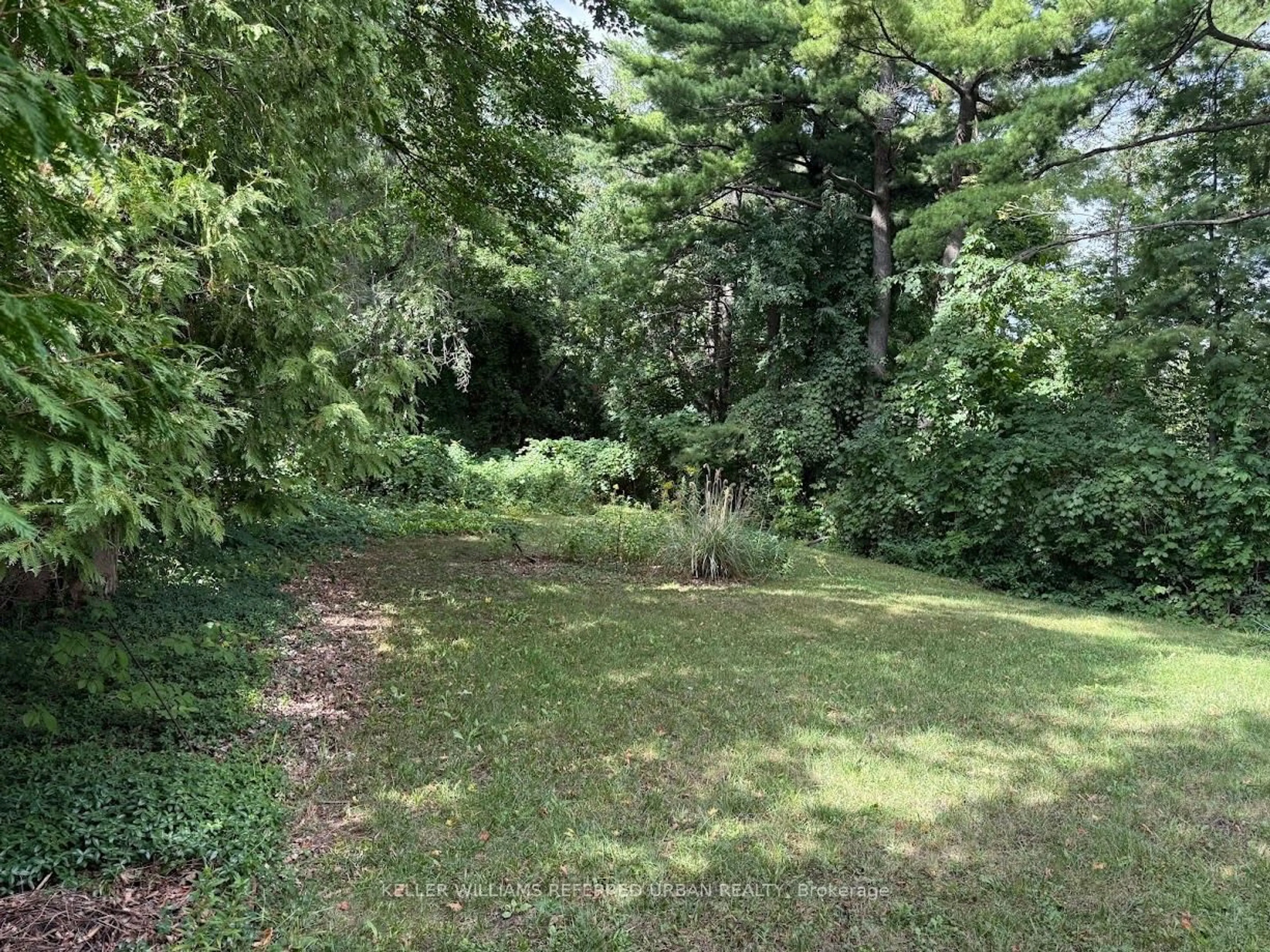 A pic from outside/outdoor area/front of a property/back of a property/a pic from drone, forest/trees view for 90 Proctor Ave, Markham Ontario L3T 1M7