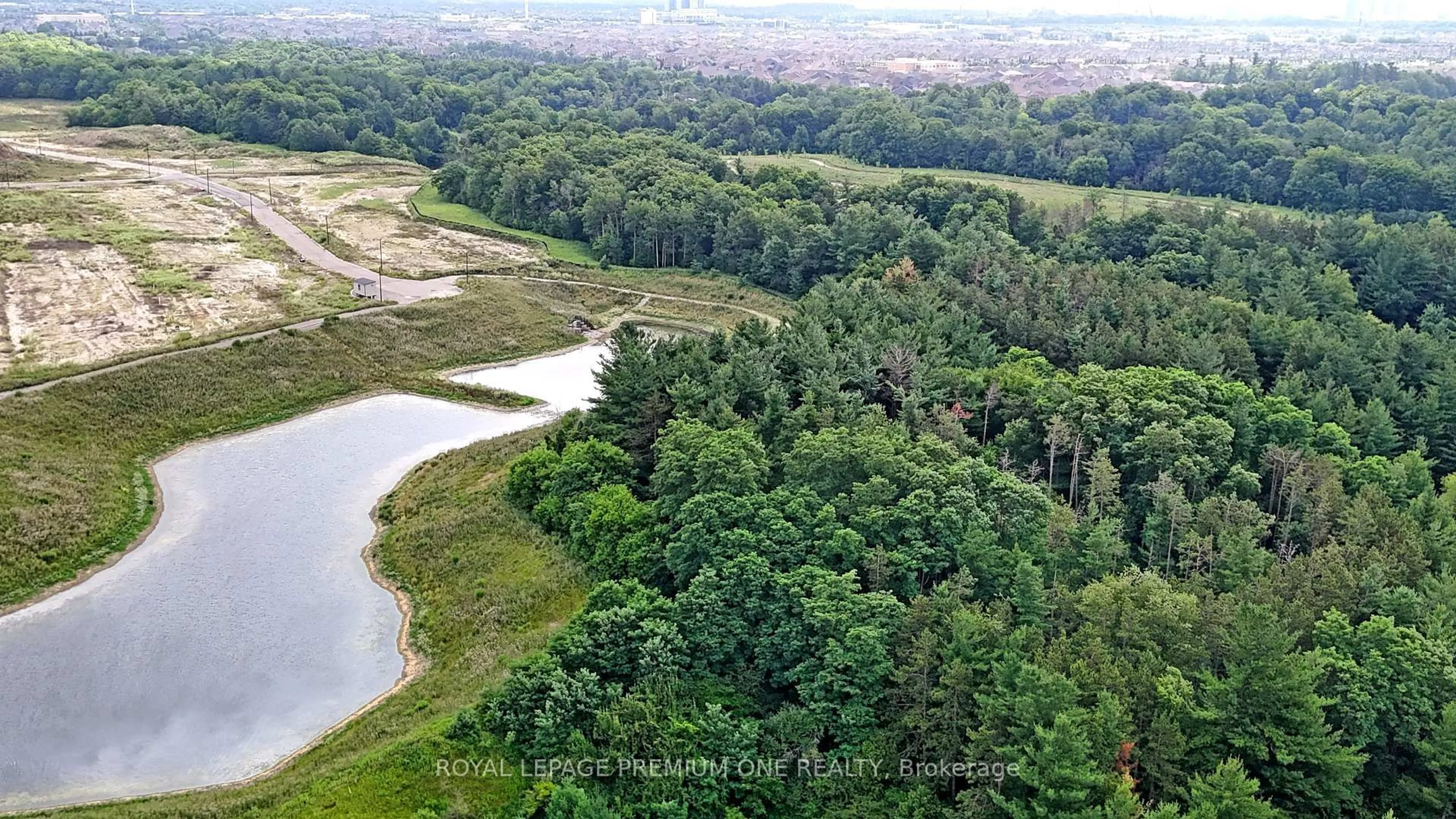 A pic from outside/outdoor area/front of a property/back of a property/a pic from drone, forest/trees view for 104 Greville St, Vaughan Ontario L4H 4P7