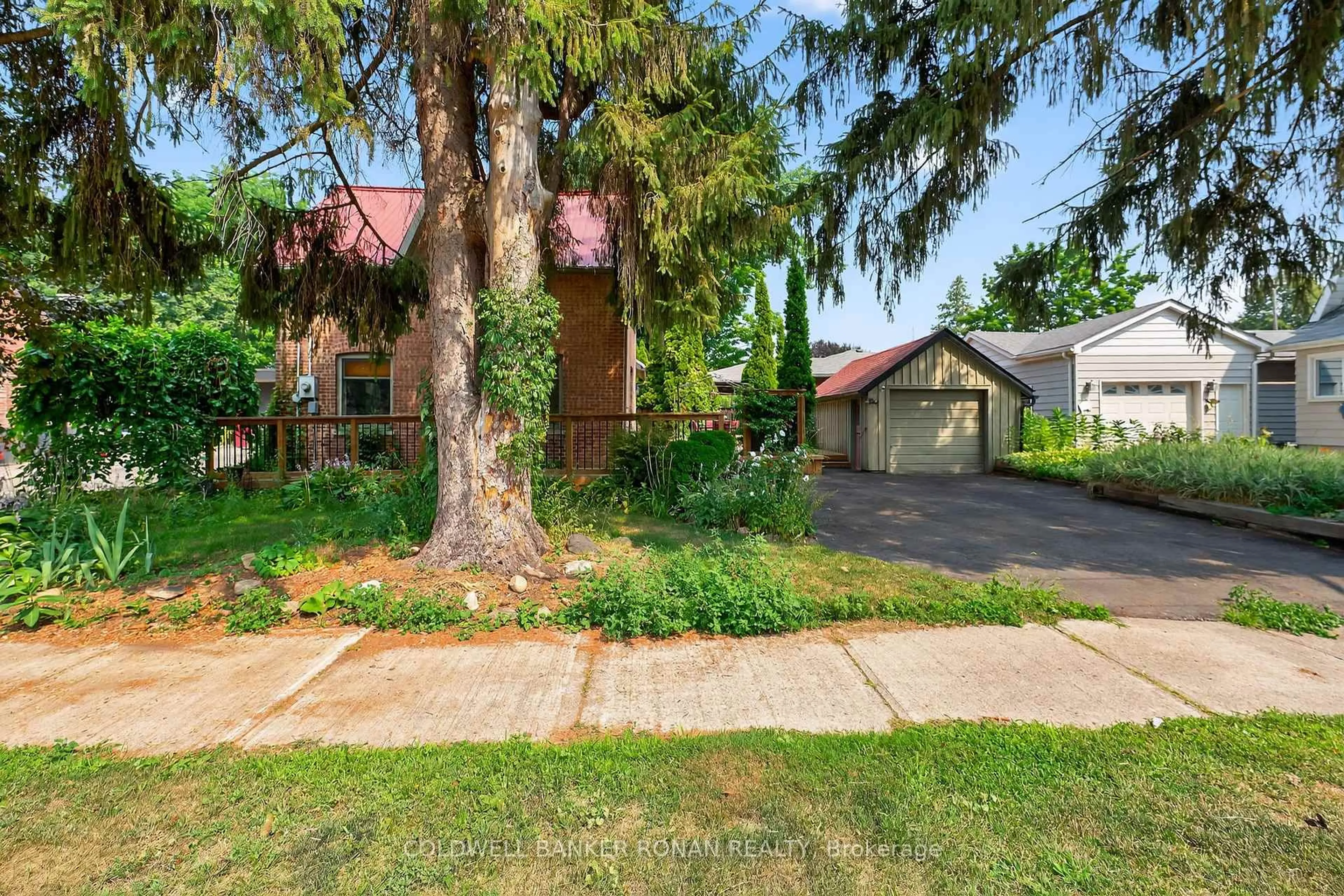 Unknown for 12 Nelson St, New Tecumseth Ontario L9R 1G9