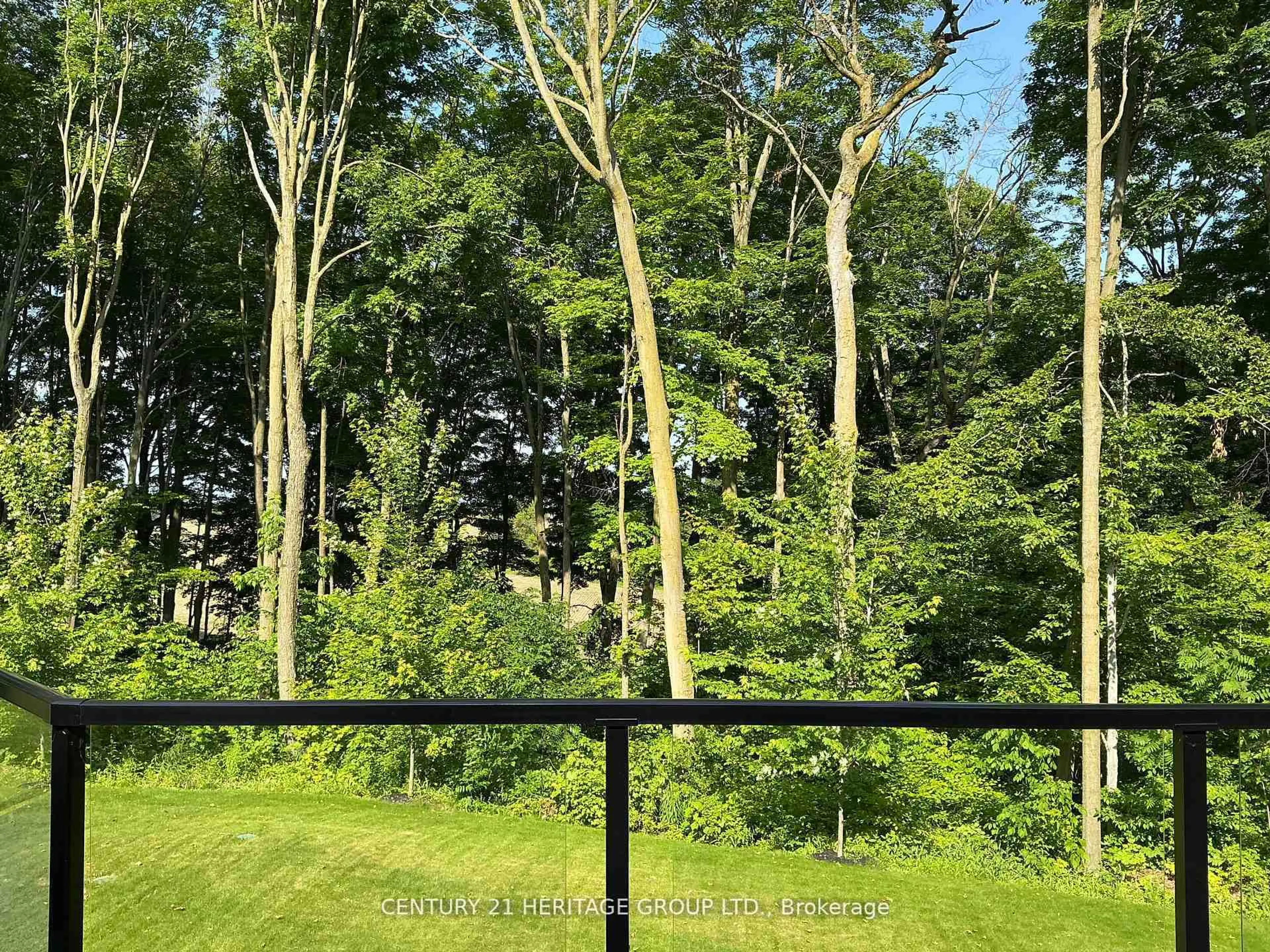A pic from outside/outdoor area/front of a property/back of a property/a pic from drone, forest/trees view for 17657 Highway 48, East Gwillimbury Ontario L0G 1E0
