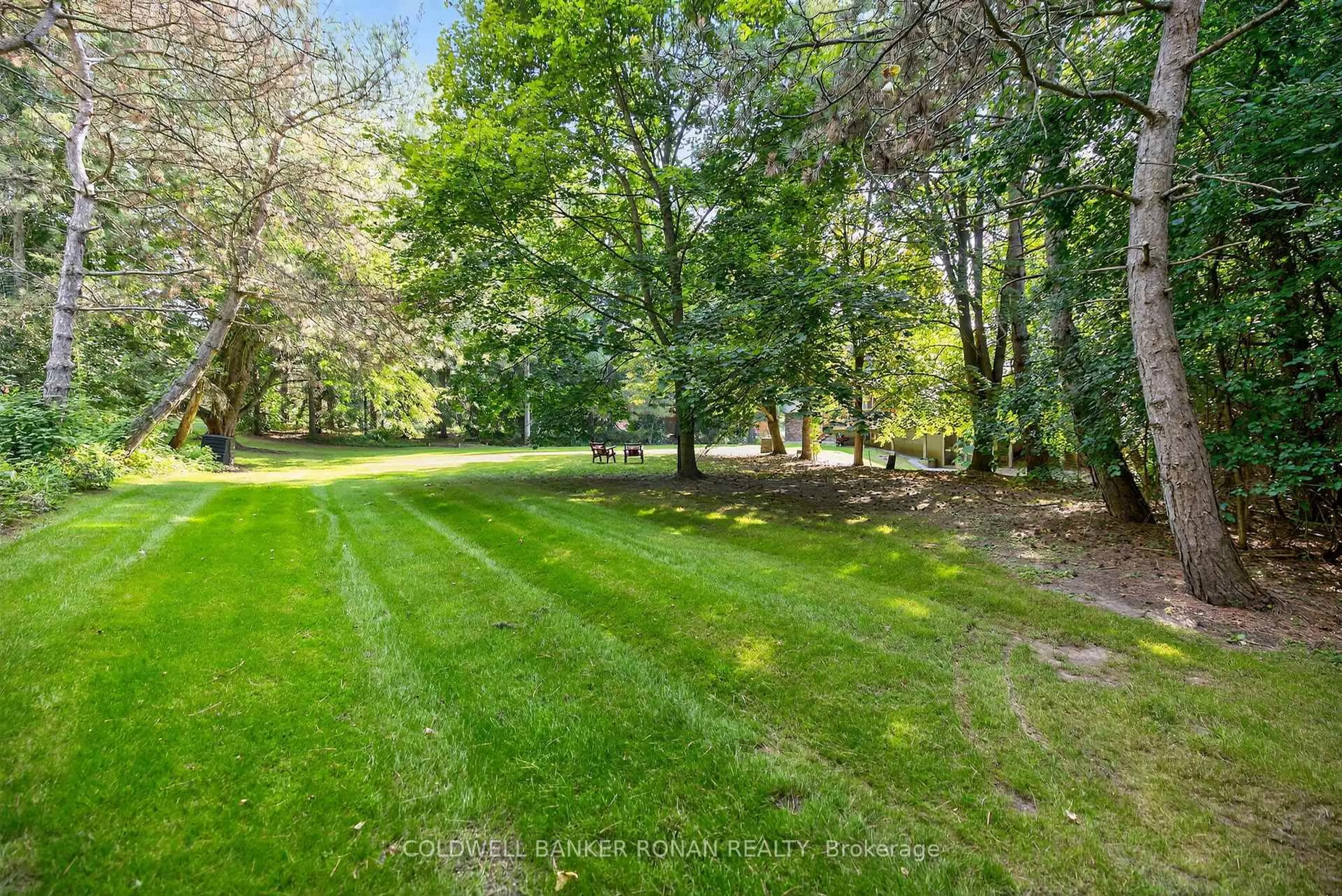 A pic from outside/outdoor area/front of a property/back of a property/a pic from drone, forest/trees view for 116 Armstrong Cres, King Ontario L7B 0E5
