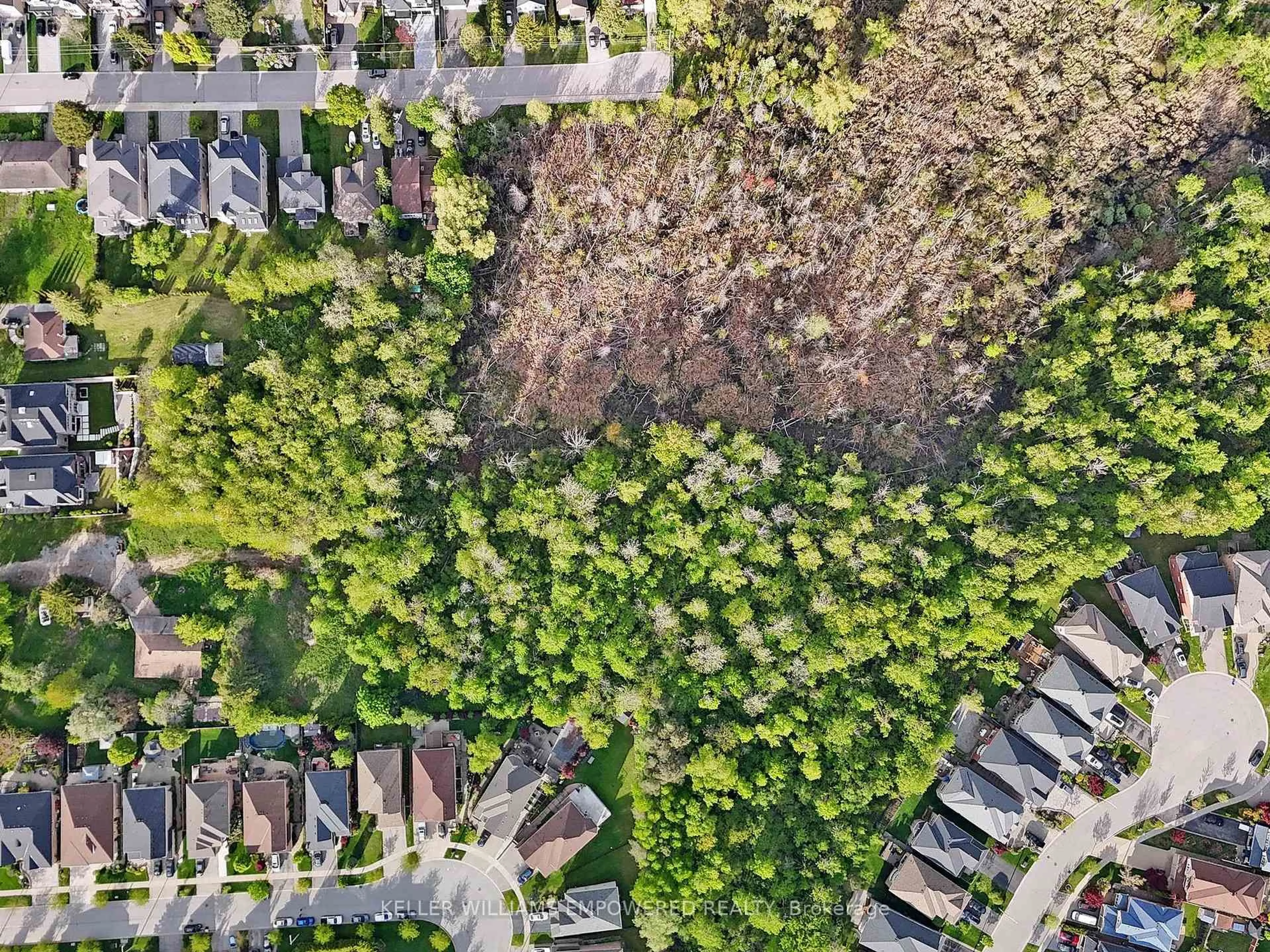 A pic from outside/outdoor area/front of a property/back of a property/a pic from drone, forest/trees view for 69 Snively St, Richmond Hill Ontario L4E 3E7