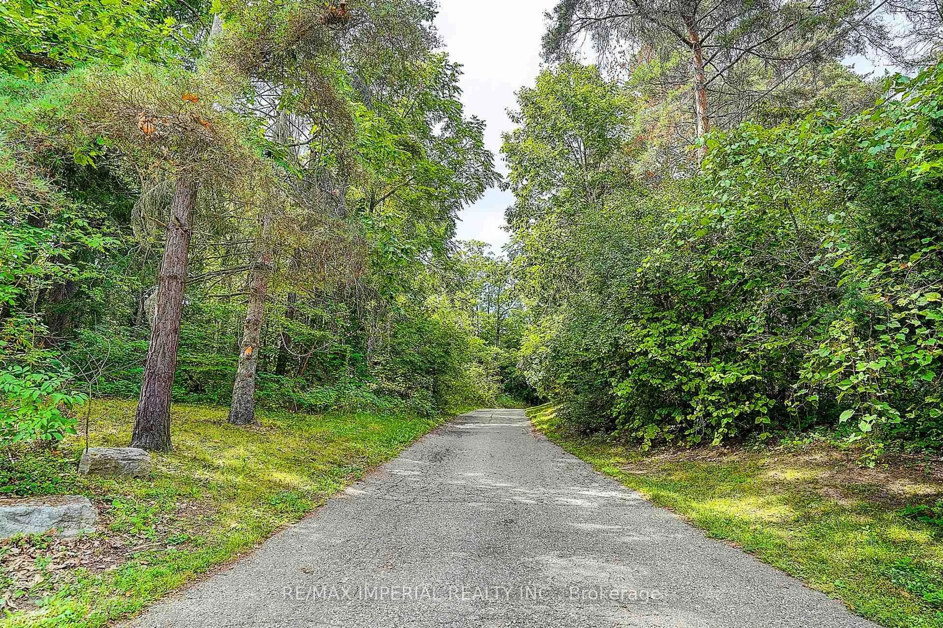 A pic from outside/outdoor area/front of a property/back of a property/a pic from drone, forest/trees view for 282 Ridge Rd, Aurora Ontario L4G 0M3