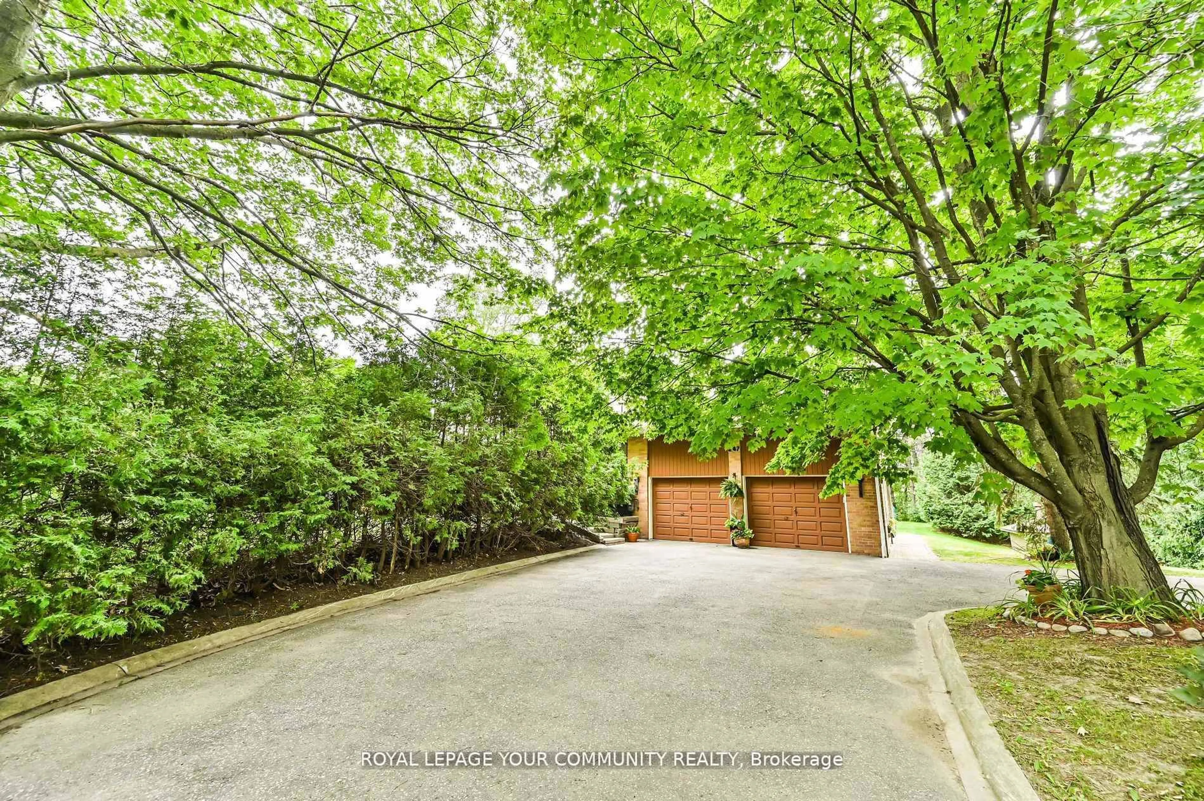 A pic from outside/outdoor area/front of a property/back of a property/a pic from drone, forest/trees view for 247 Harris Ave, Richmond Hill Ontario L4E 3M3