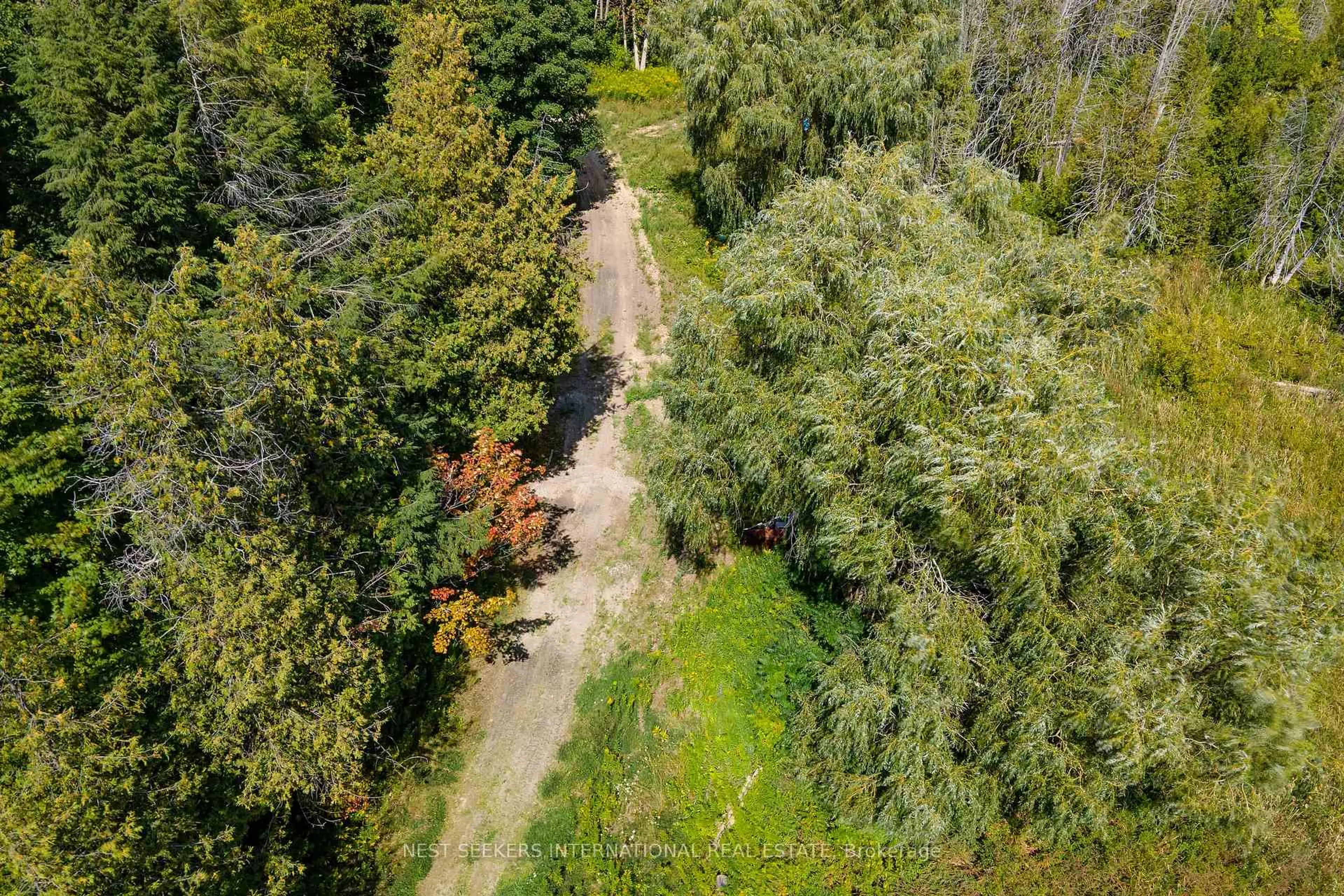 A pic from outside/outdoor area/front of a property/back of a property/a pic from drone, forest/trees view for 5181 County Road 27, Innisfil Ontario L0L 1L0