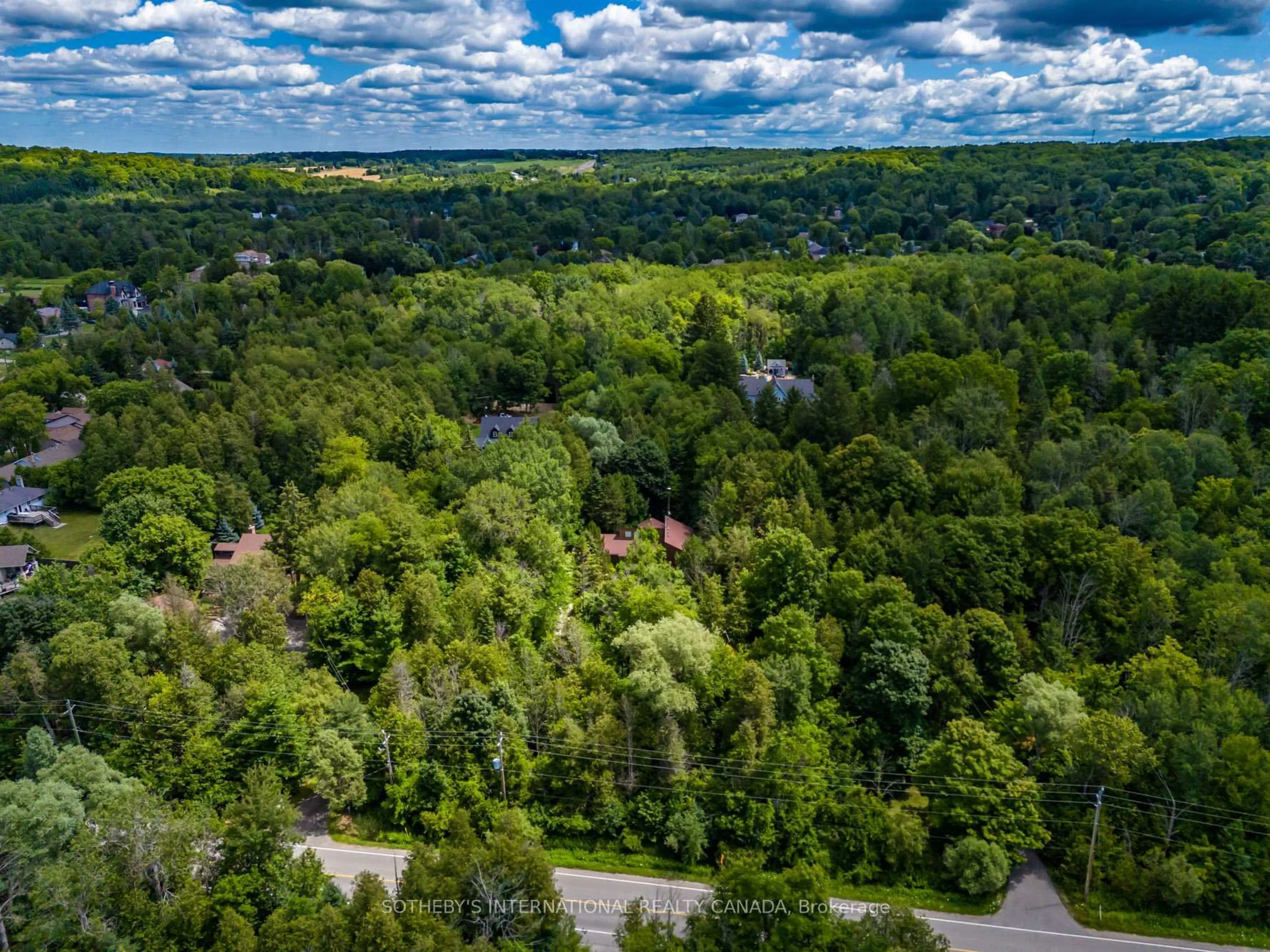 A pic from outside/outdoor area/front of a property/back of a property/a pic from drone, forest/trees view for 16235 7th Concession, King Ontario L7B 0E1