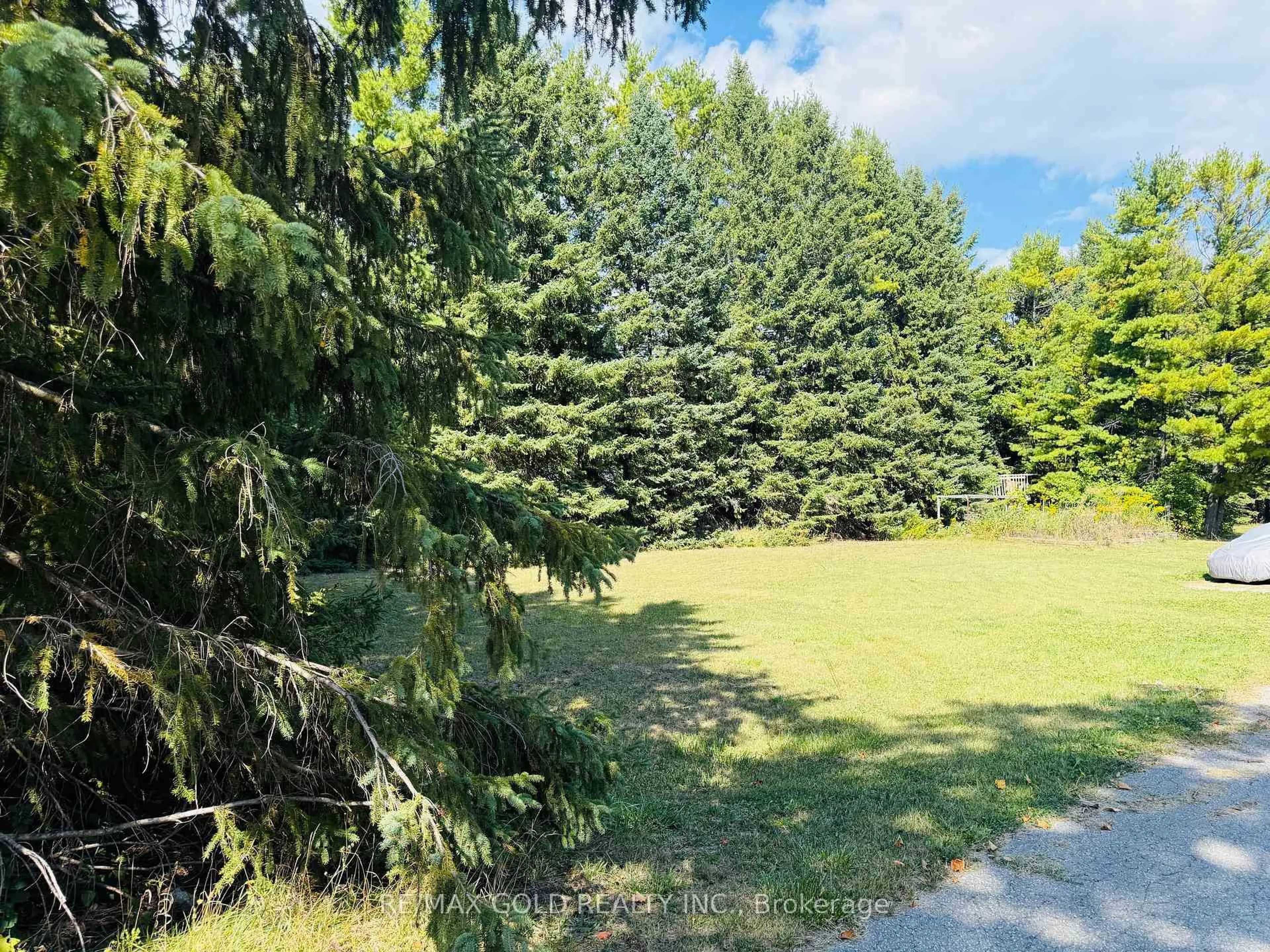 A pic from outside/outdoor area/front of a property/back of a property/a pic from drone, forest/trees view for 1209 20th Sdrd, New Tecumseth Ontario L0G 1T0