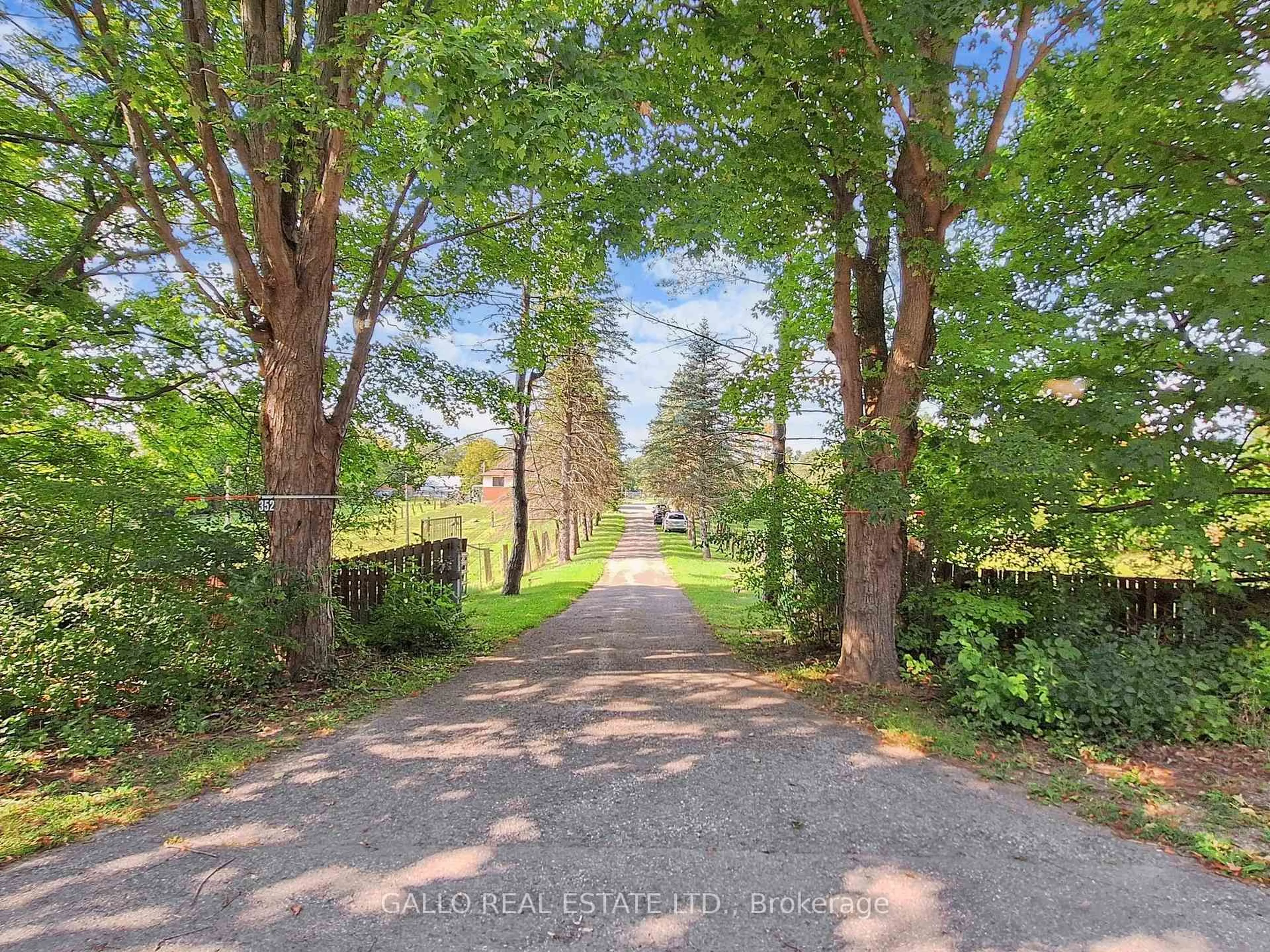 A pic from outside/outdoor area/front of a property/back of a property/a pic from drone, forest/trees view for 352 Uxbridge Pickering Townline, Uxbridge Ontario L9P 1R4