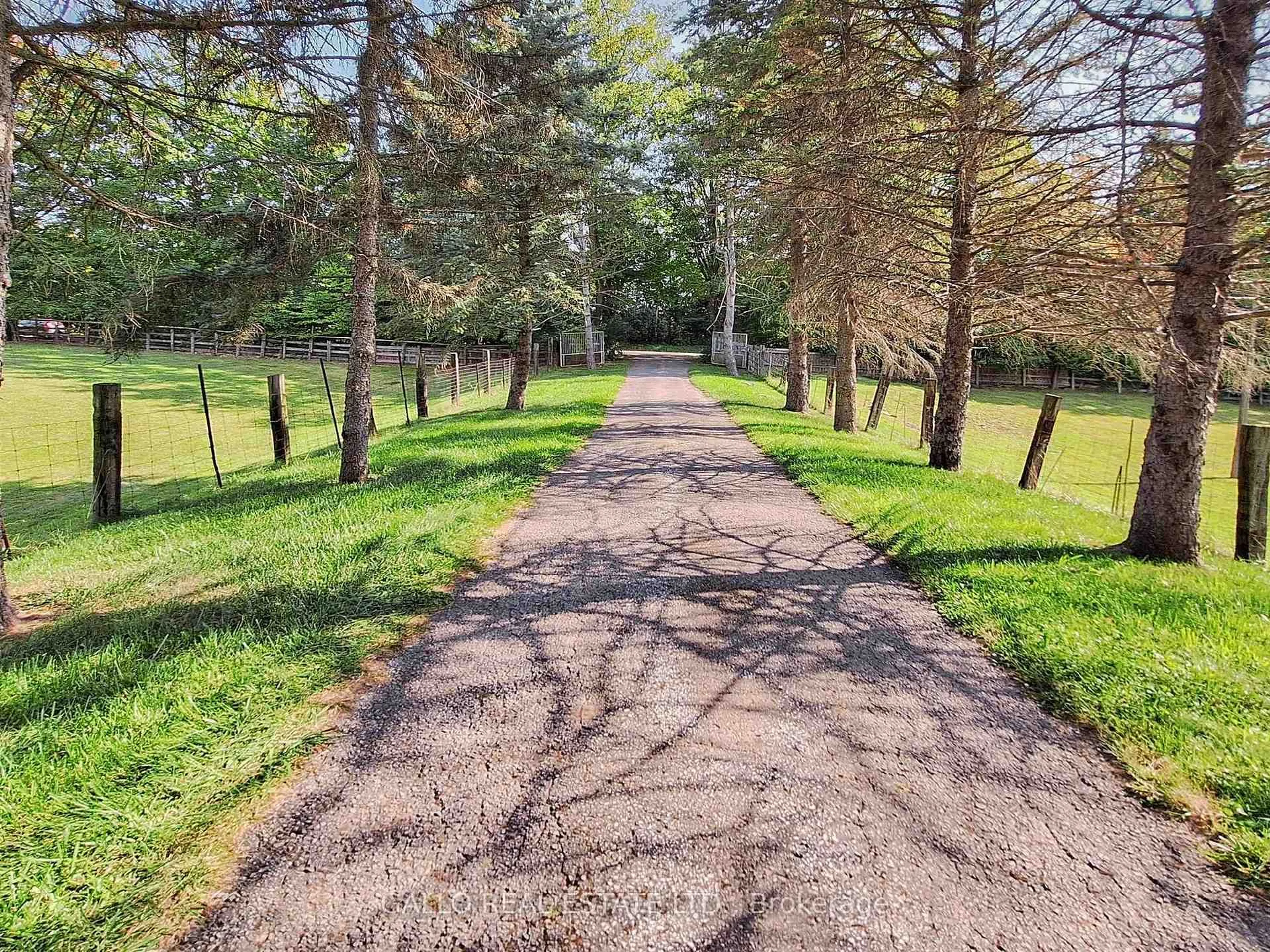 A pic from outside/outdoor area/front of a property/back of a property/a pic from drone, forest/trees view for 352 Uxbridge Pickering Townline, Uxbridge Ontario L9P 1R4