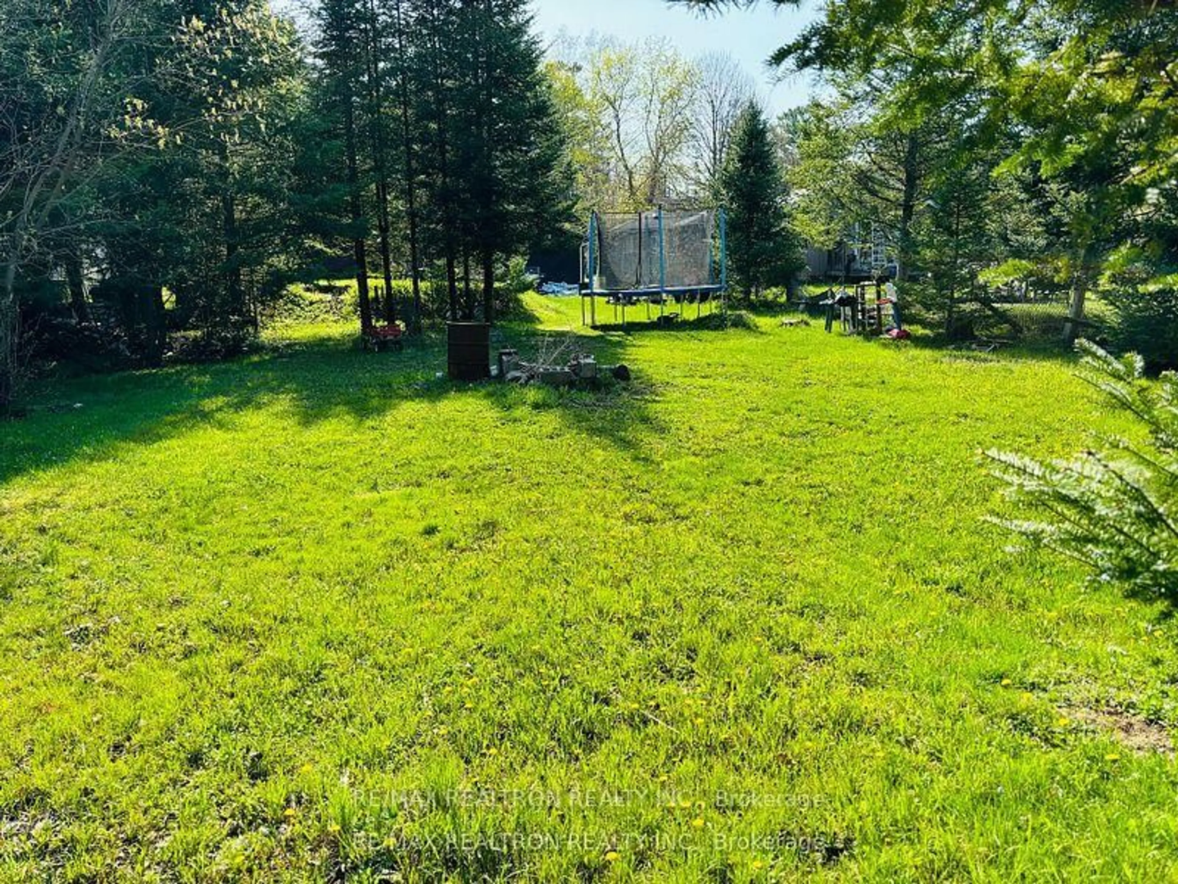 A pic from outside/outdoor area/front of a property/back of a property/a pic from drone, forest/trees view for 2439 Wallace Ave, Innisfil Ontario L9S 2G5