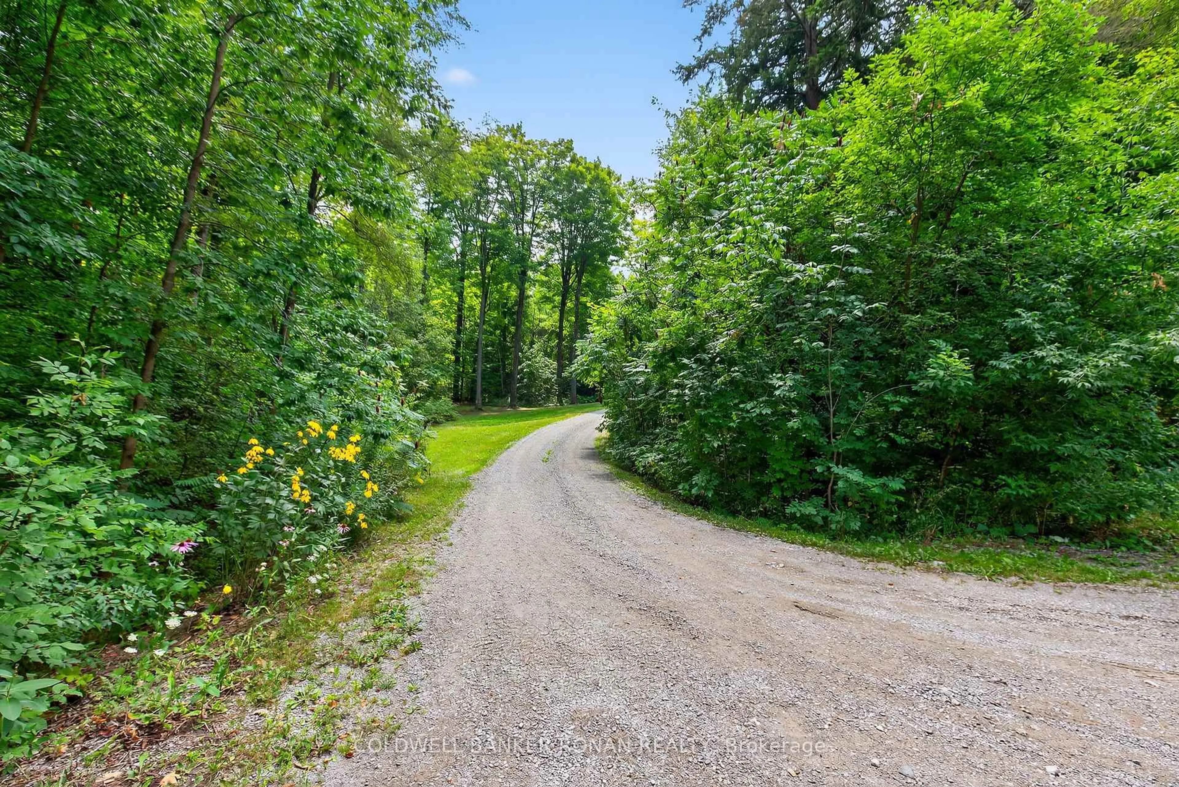 A pic from outside/outdoor area/front of a property/back of a property/a pic from drone, forest/trees view for 7501 5th Sdrd, Adjala-Tosorontio Ontario L0G 1W0