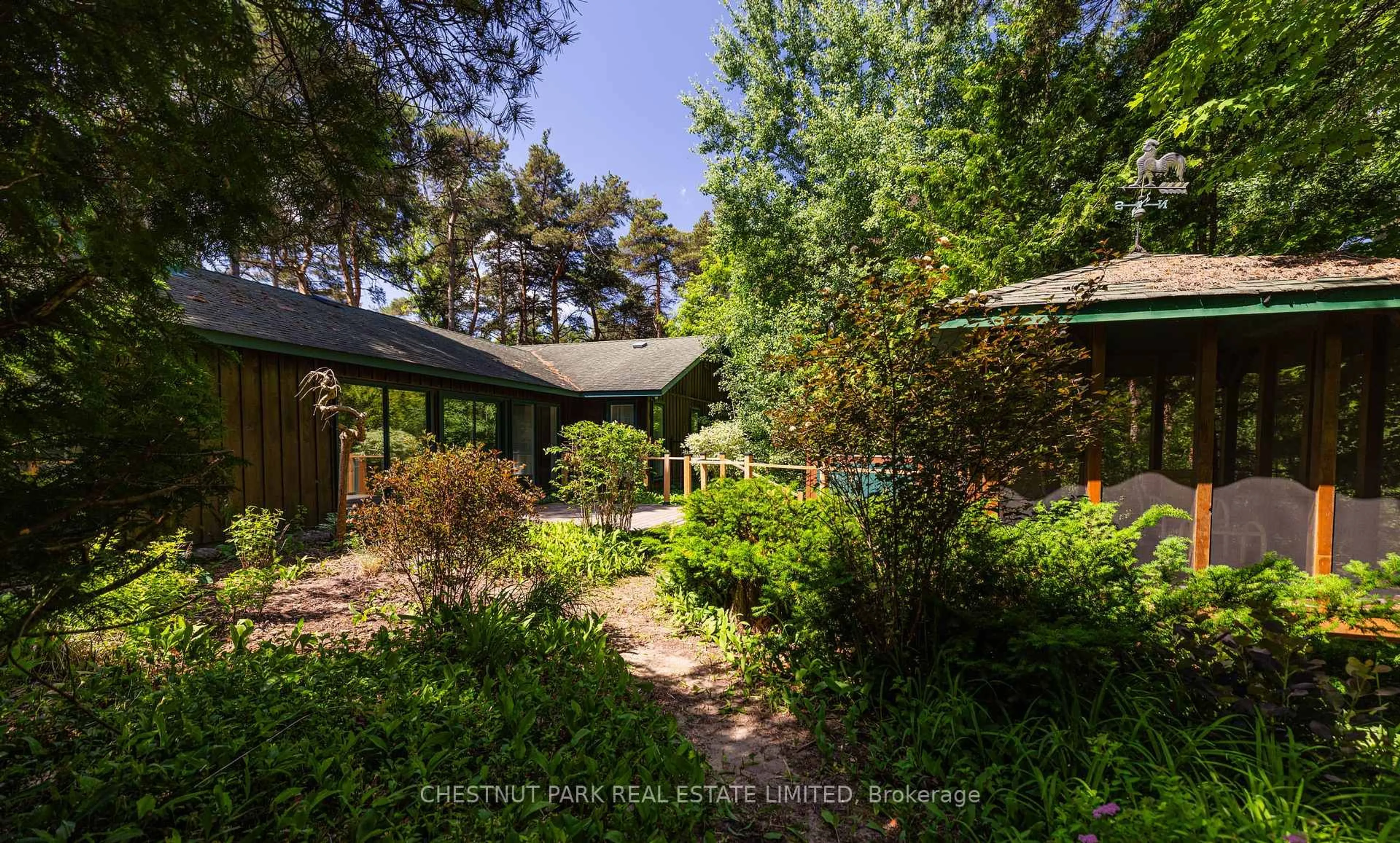 A pic from outside/outdoor area/front of a property/back of a property/a pic from drone, forest/trees view for 90 Ridge Rd, Aurora Ontario L4G 0M3