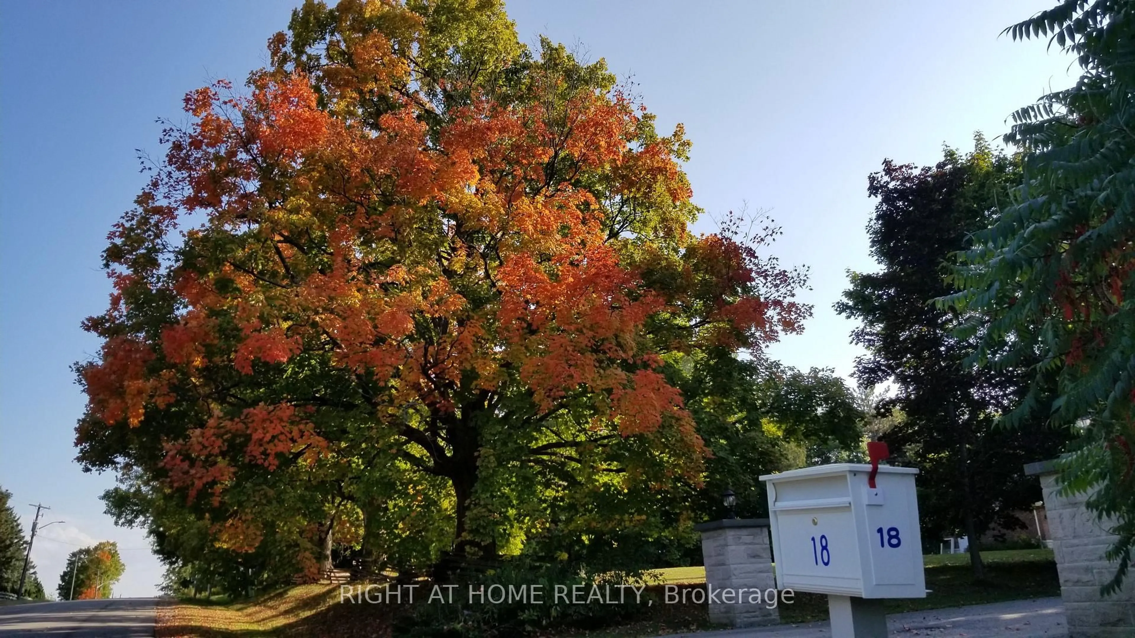 A pic from outside/outdoor area/front of a property/back of a property/a pic from drone, forest/trees view for 18 Mccowan Lane, Whitchurch-Stouffville Ontario L4A 7X5