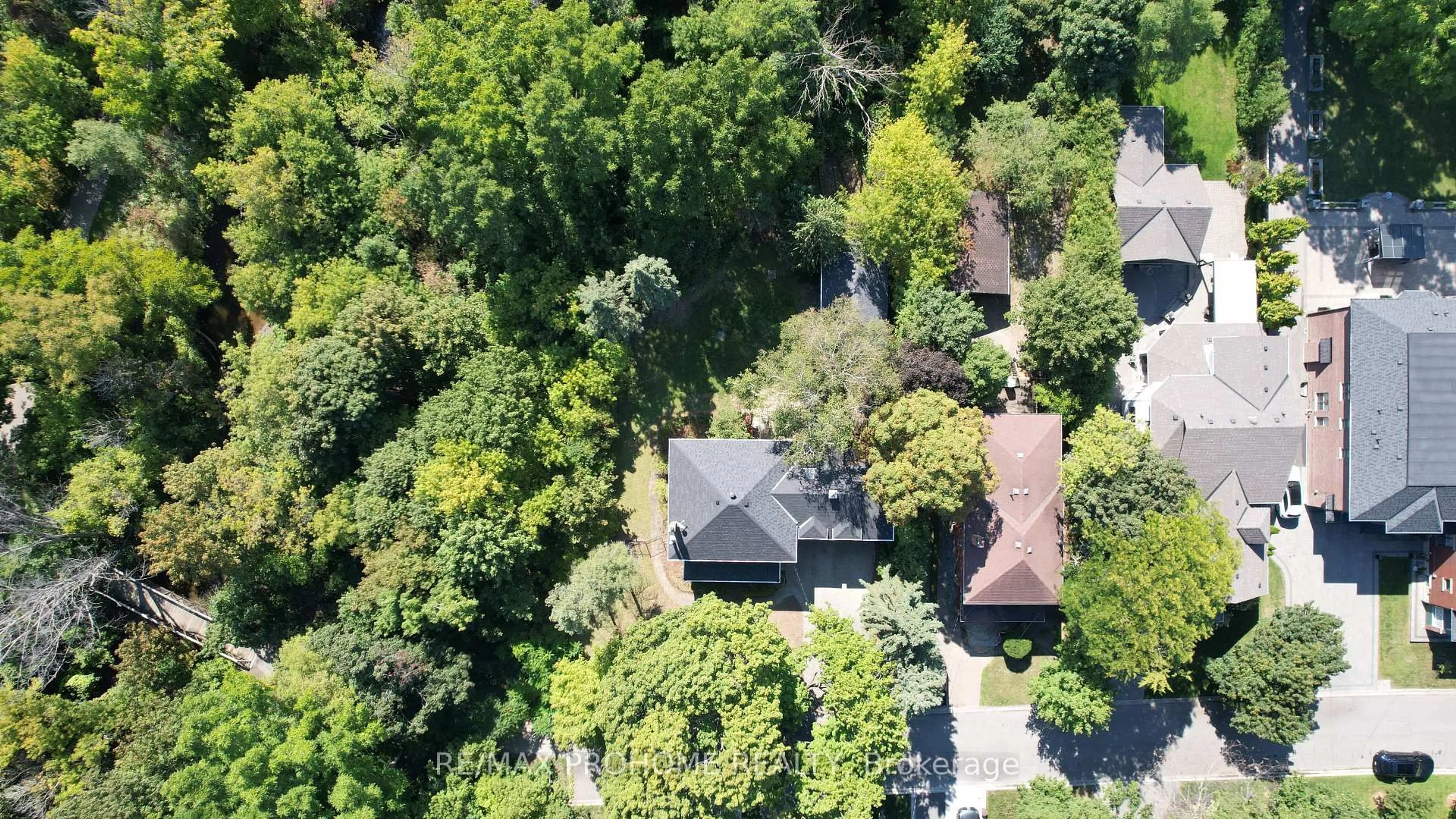 A pic from outside/outdoor area/front of a property/back of a property/a pic from drone, forest/trees view for 17 Eckardt Ave, Markham Ontario L3R 1P1