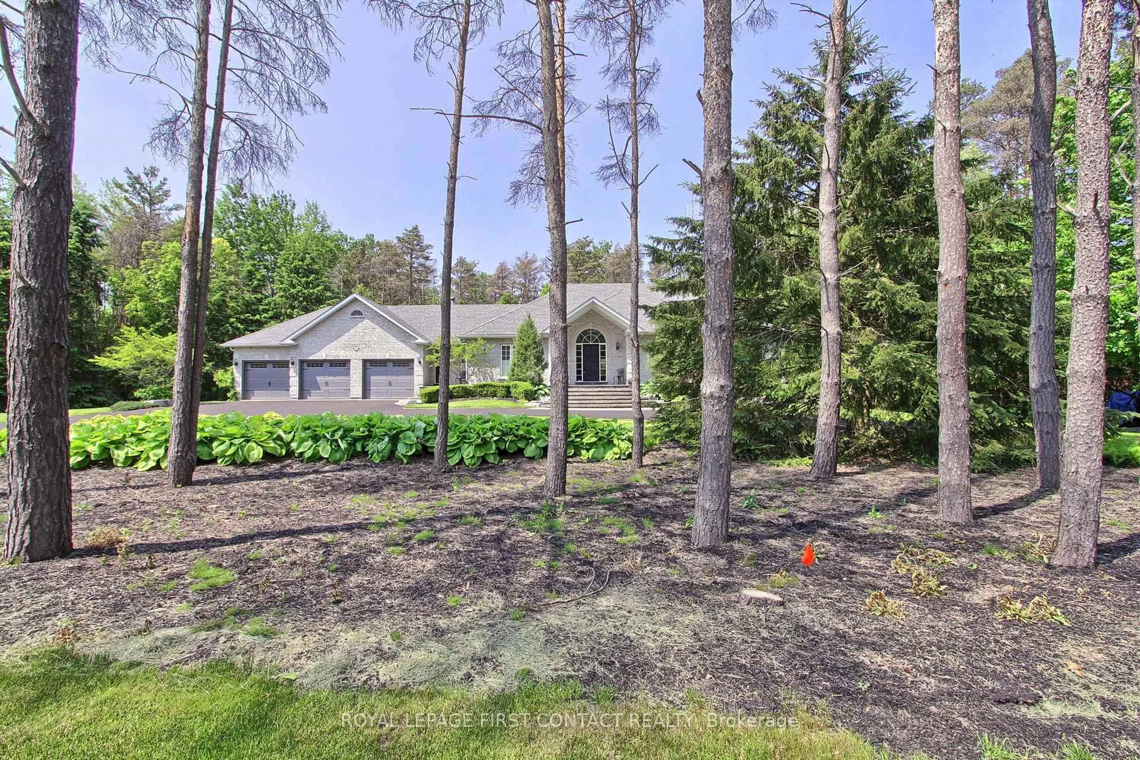 A pic from outside/outdoor area/front of a property/back of a property/a pic from drone, forest/trees view for 8 Pelosi Way, East Gwillimbury Ontario L0G 1M0