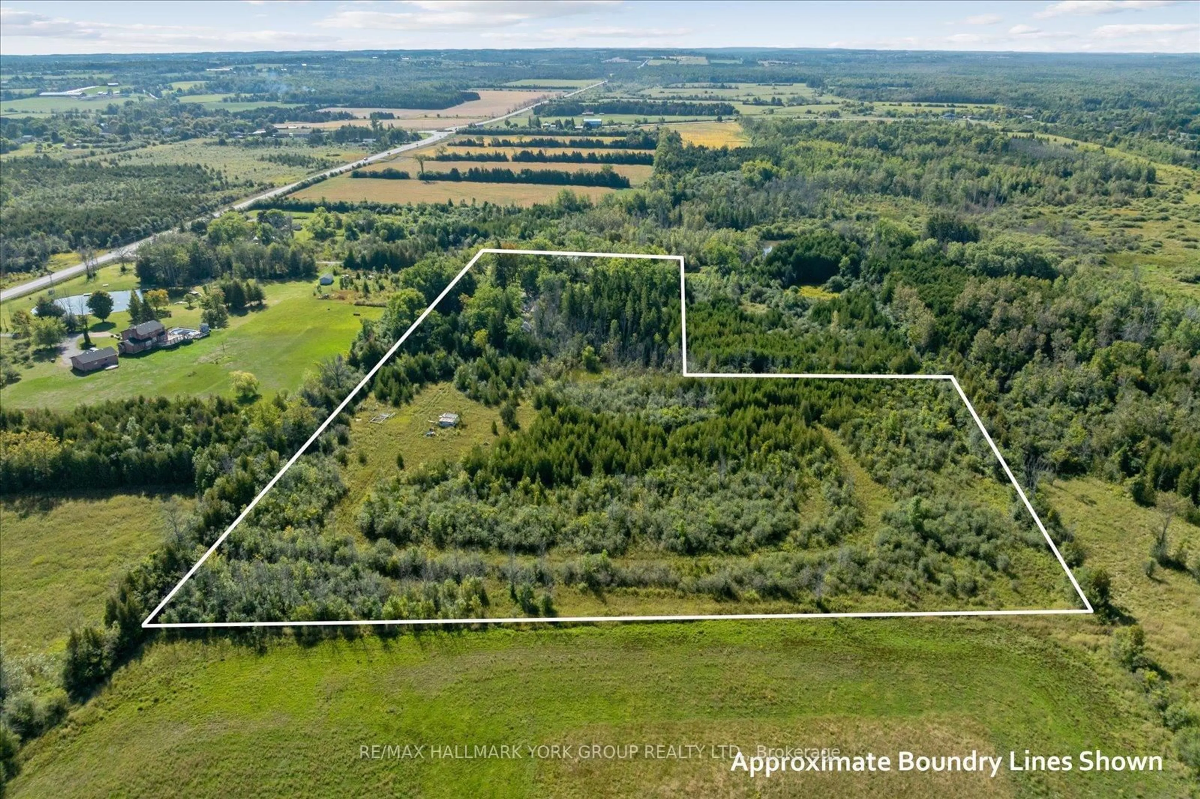 A pic from outside/outdoor area/front of a property/back of a property/a pic from drone, forest/trees view for 12 Cedarbrook Dr, Georgina Ontario L0E 1N0
