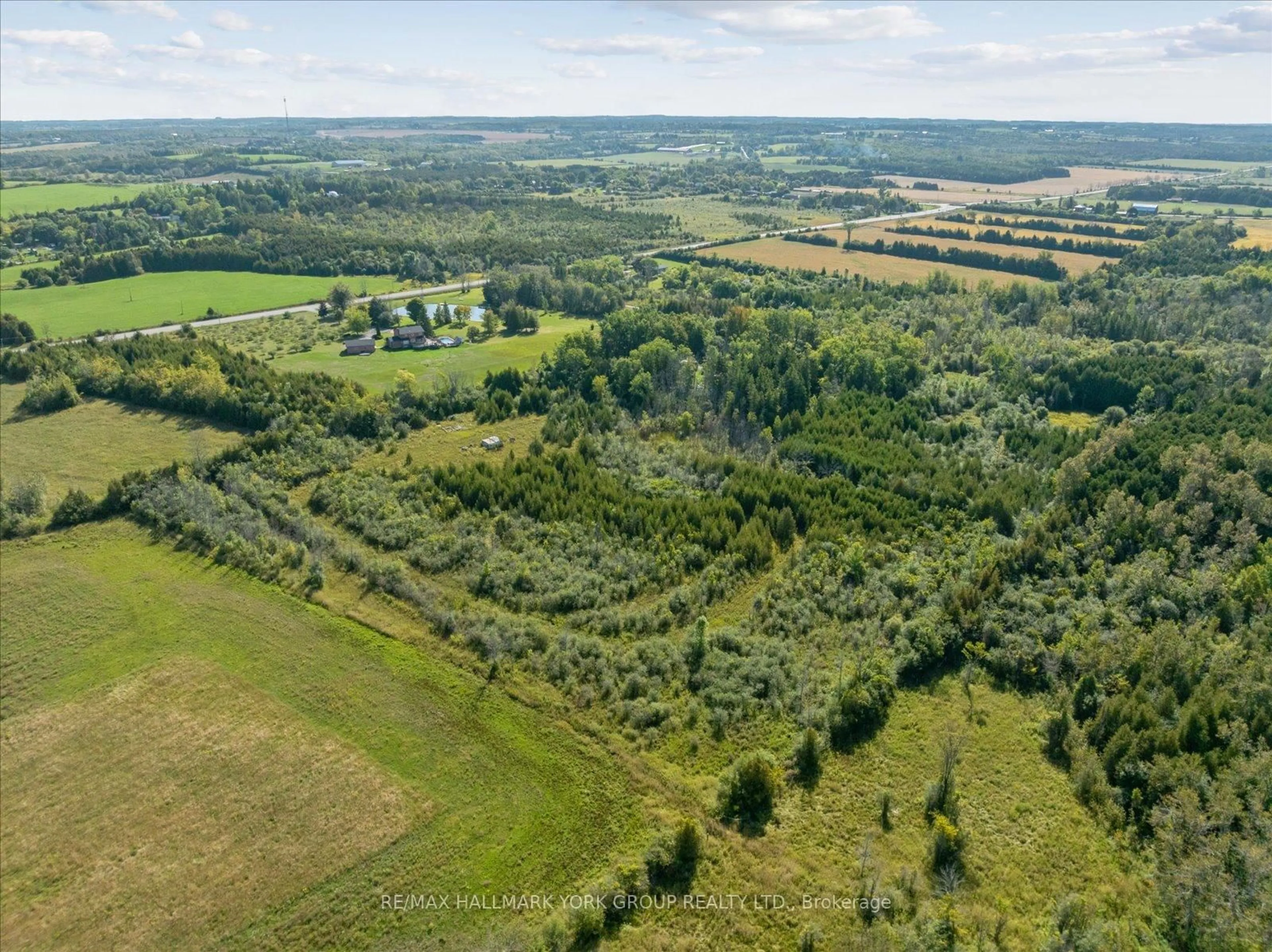 A pic from outside/outdoor area/front of a property/back of a property/a pic from drone, forest/trees view for 12 Cedarbrook Dr, Georgina Ontario L0E 1N0