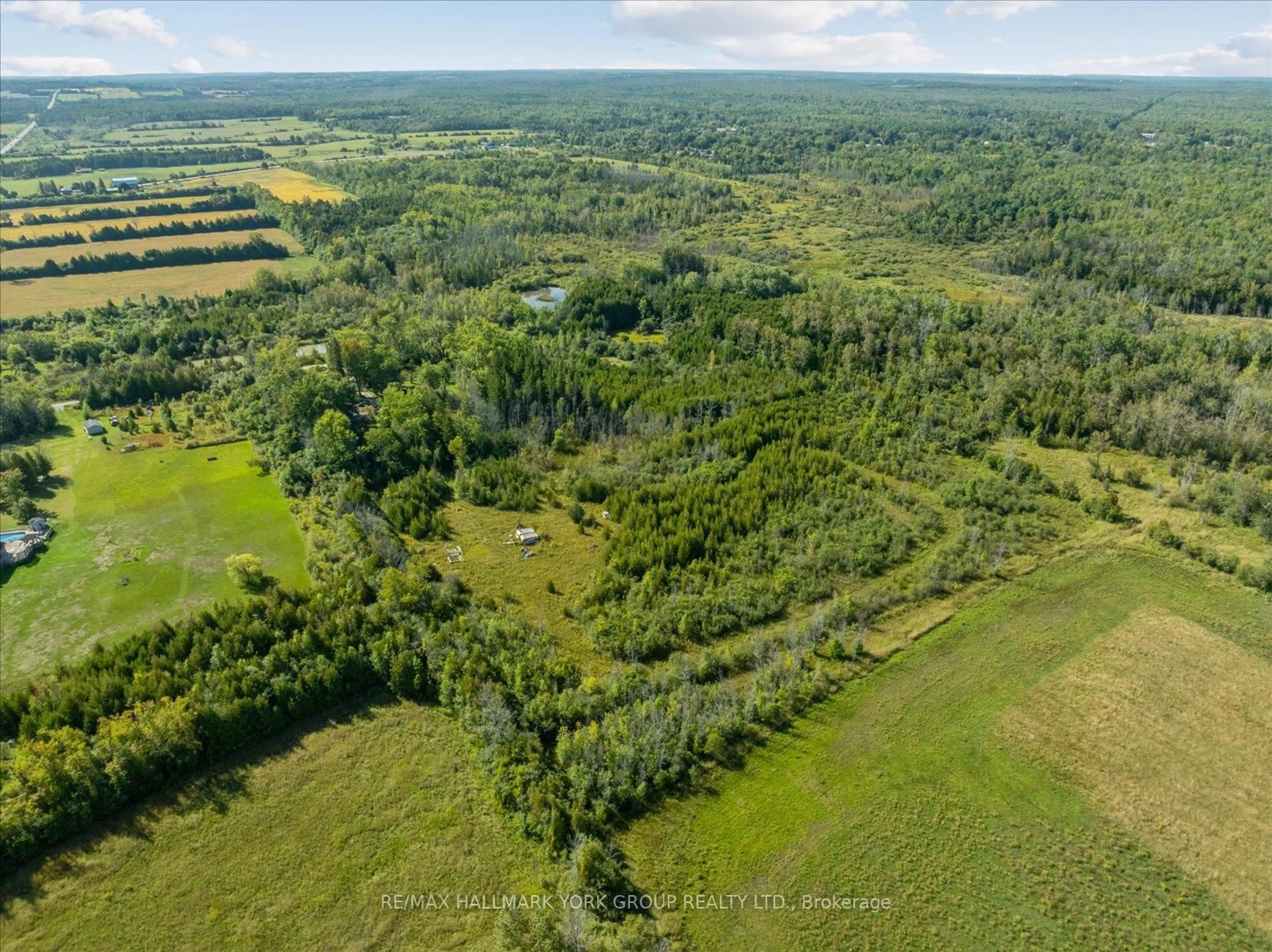 A pic from outside/outdoor area/front of a property/back of a property/a pic from drone, forest/trees view for 12 Cedarbrook Dr, Georgina Ontario L0E 1N0