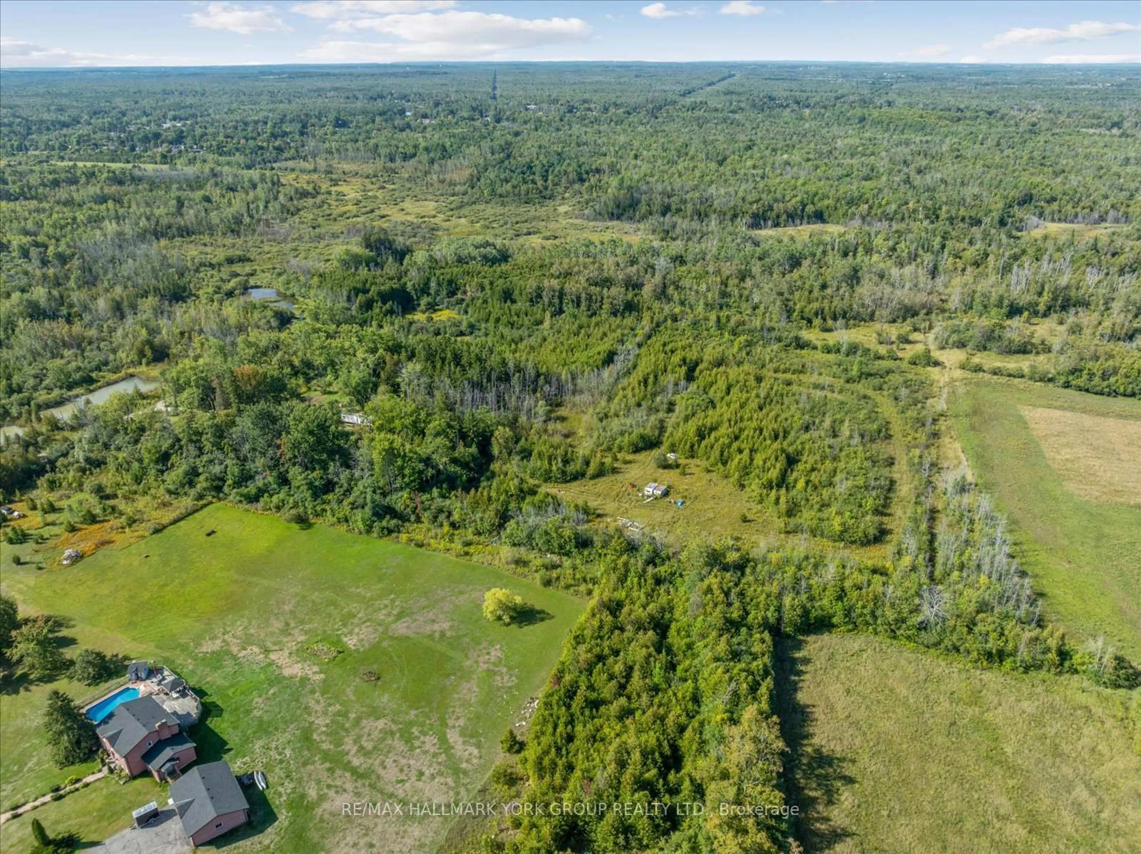 A pic from outside/outdoor area/front of a property/back of a property/a pic from drone, forest/trees view for 12 Cedarbrook Dr, Georgina Ontario L0E 1N0