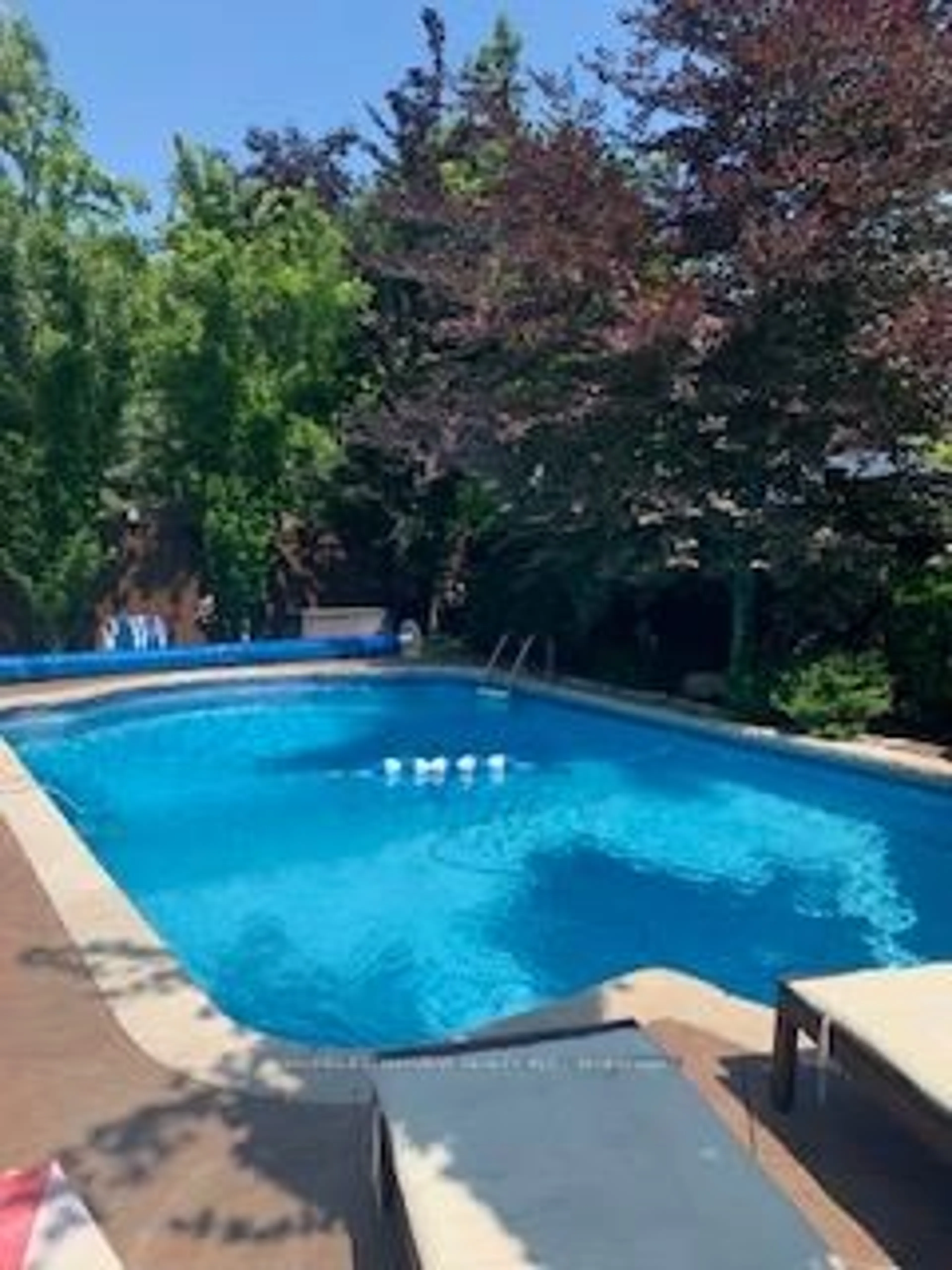 Pool for 6 Jaylynn Crt, Vaughan Ontario L4H 1Z6